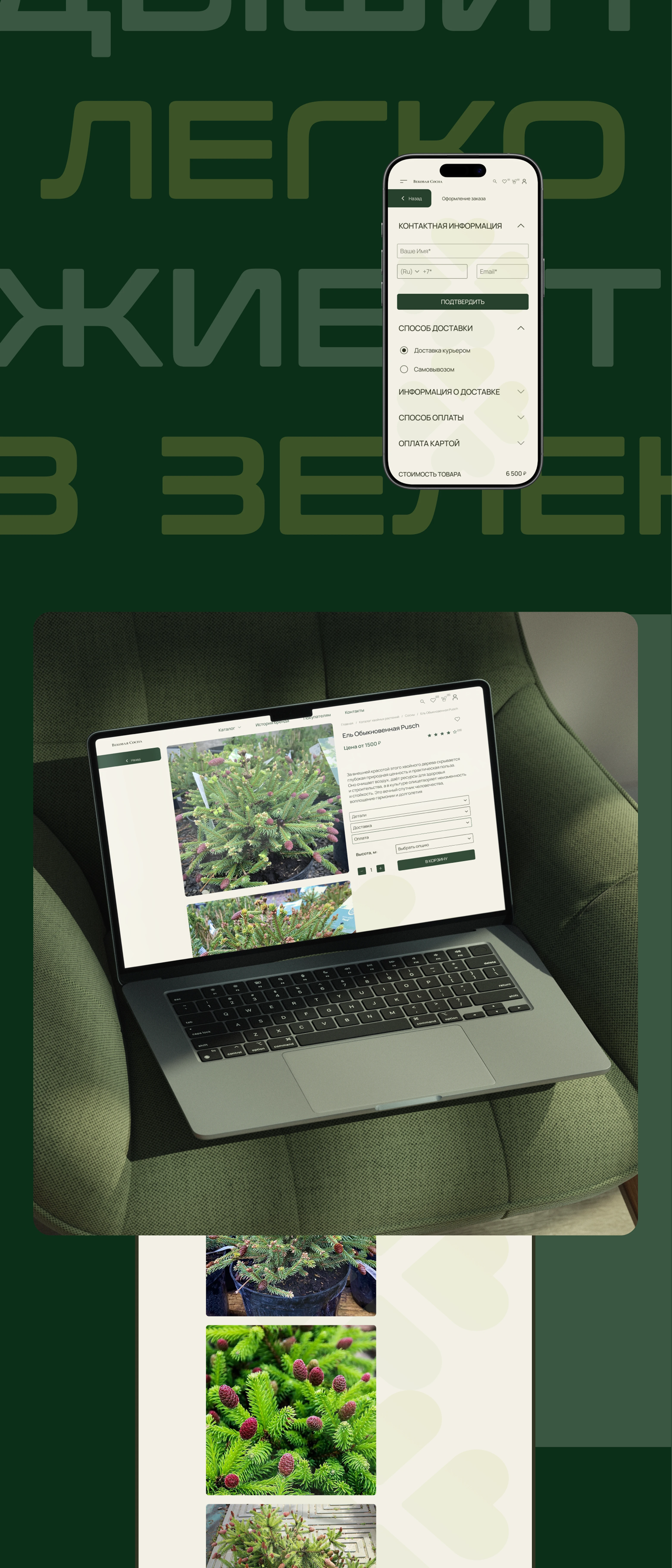 Вековая сосна / online store — Изображение №7 — Интерфейсы на Dprofile