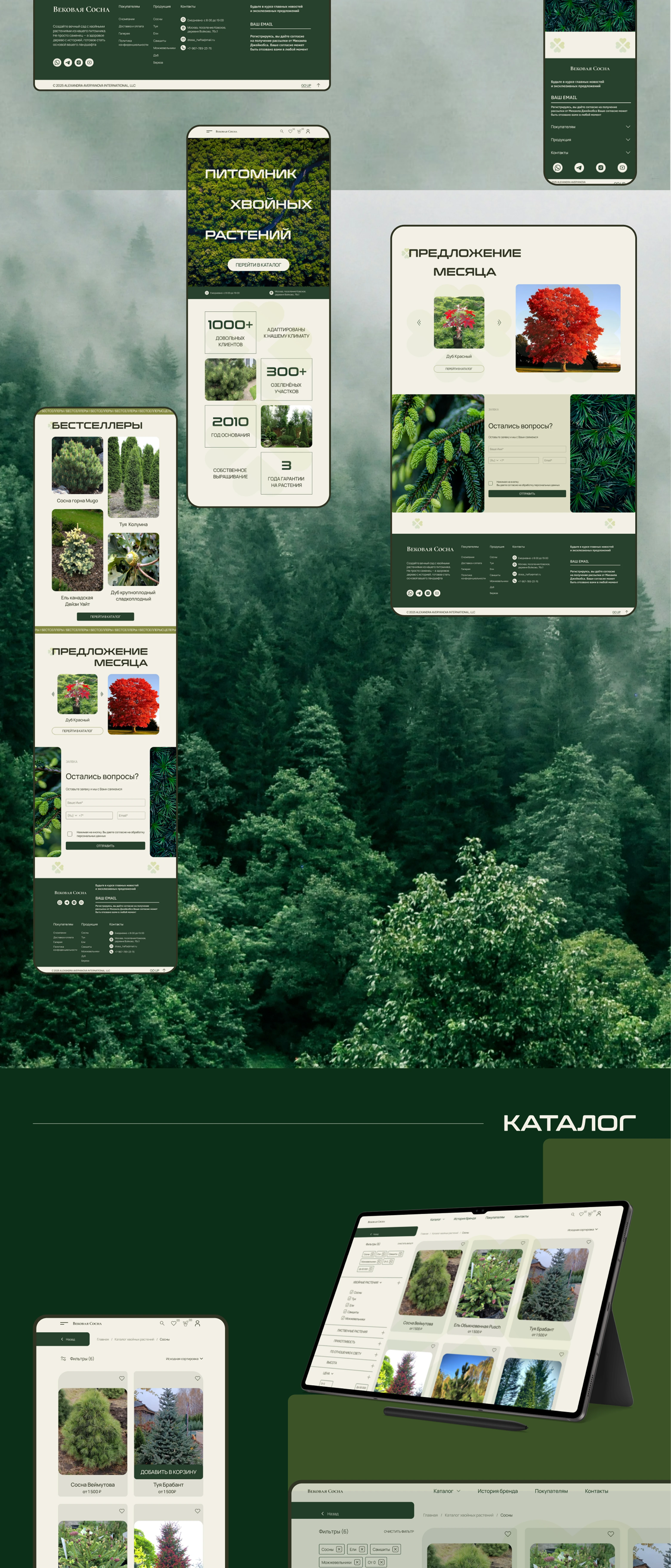 Вековая сосна / online store — Изображение №5 — Интерфейсы на Dprofile