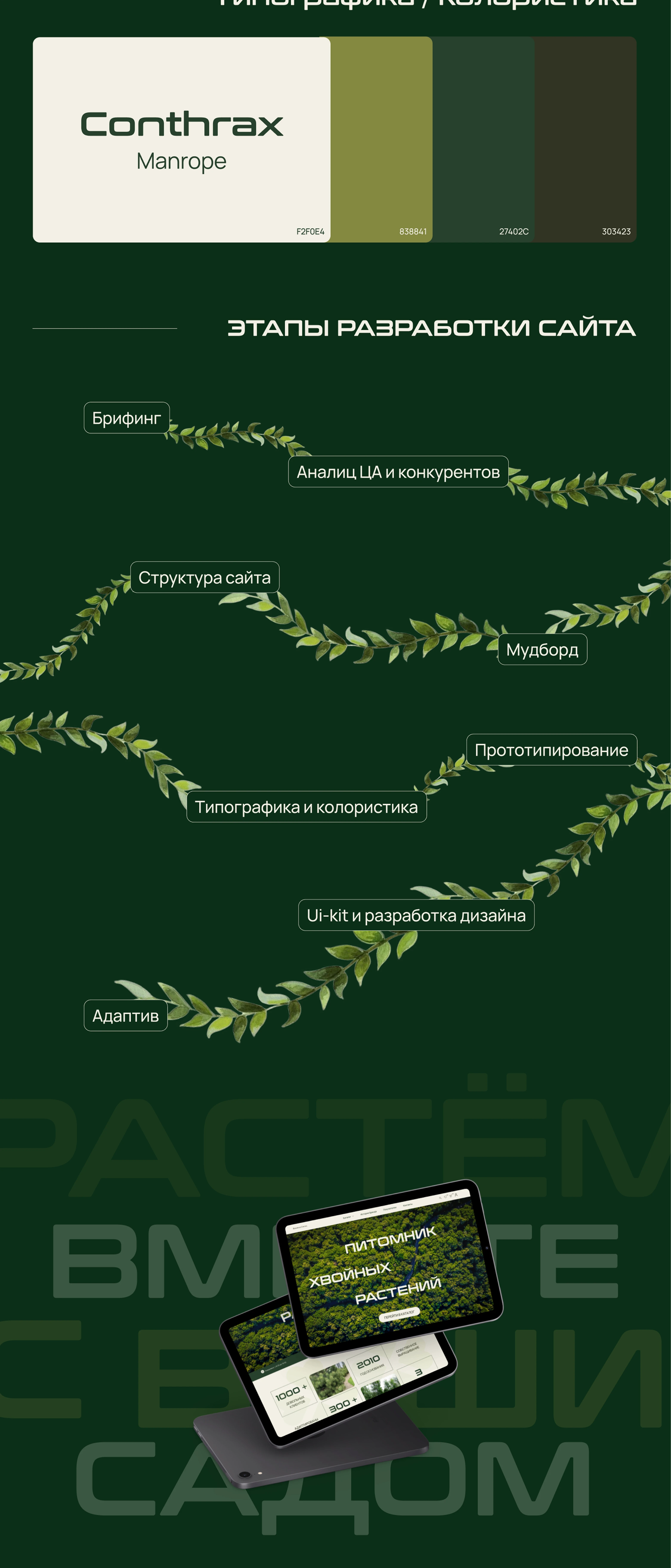 Вековая сосна / online store — Изображение №2 — Интерфейсы на Dprofile