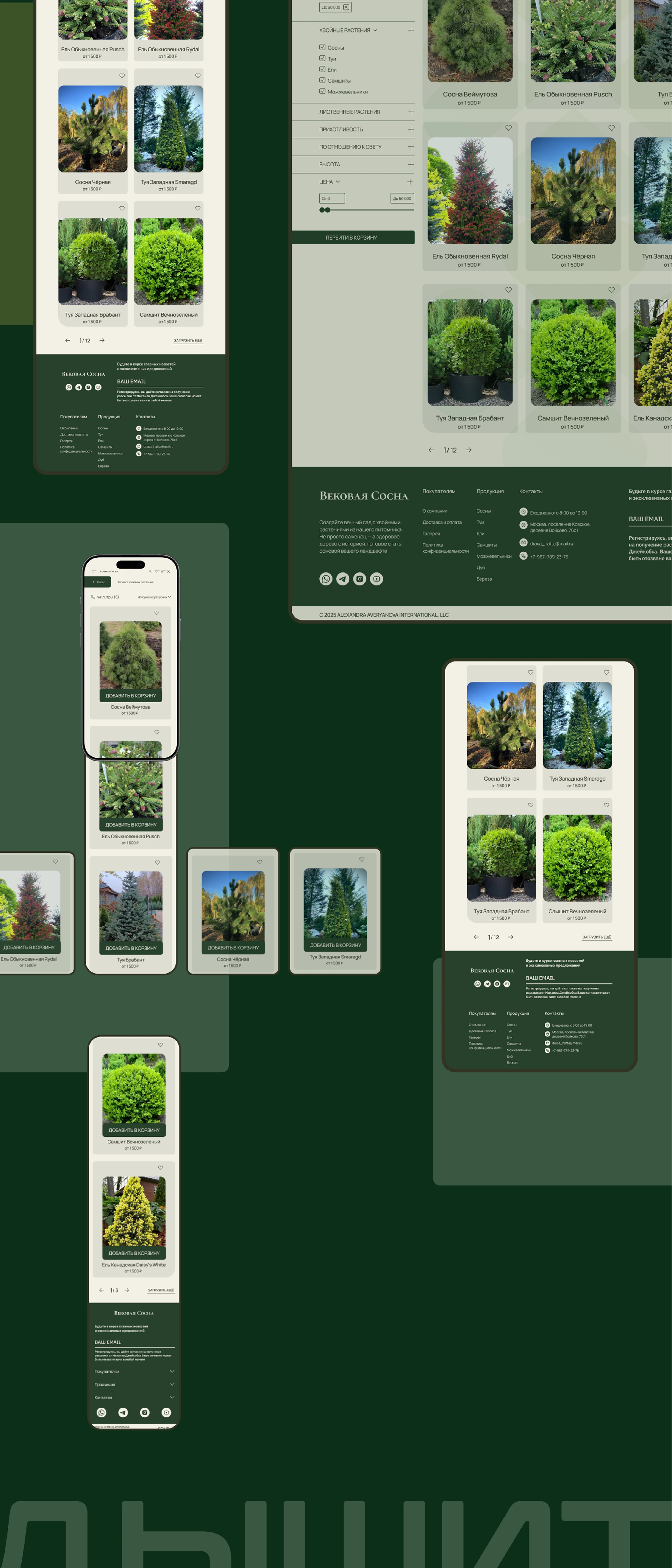Вековая сосна / online store — Изображение №6 — Интерфейсы на Dprofile