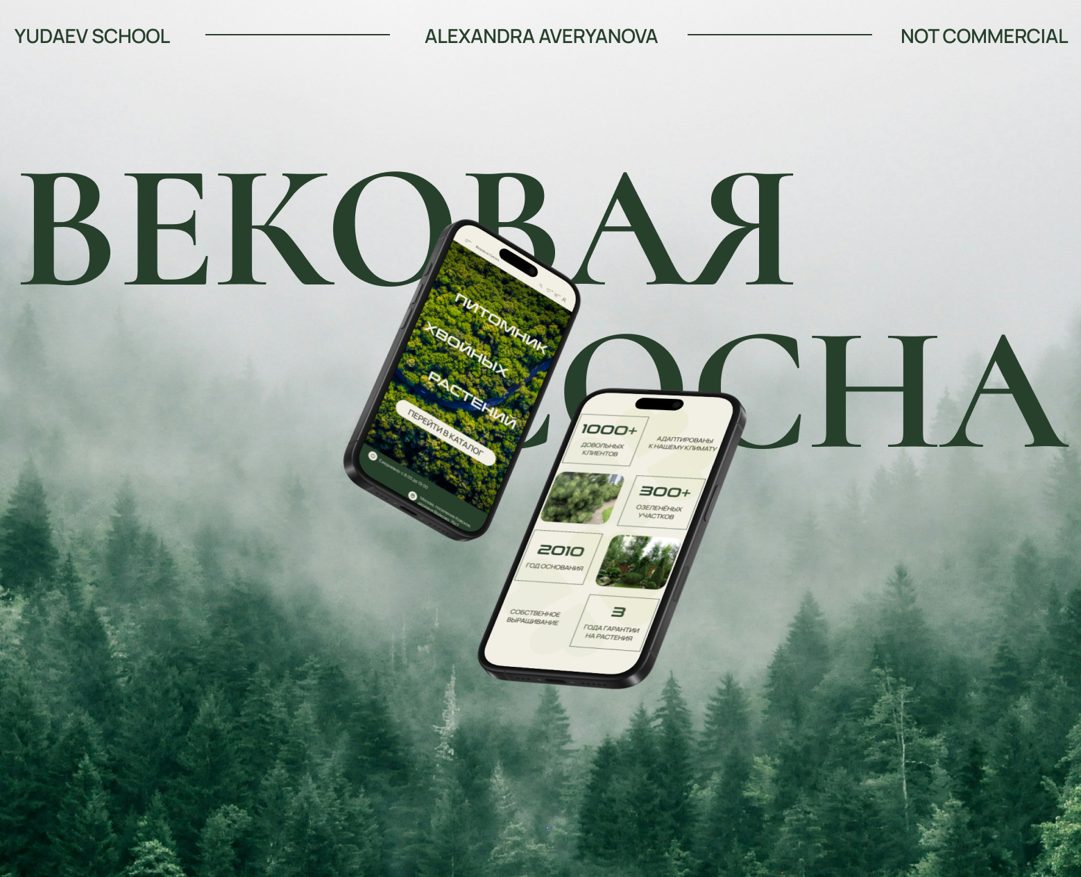 Вековая сосна / online store — Интерфейсы на Dprofile