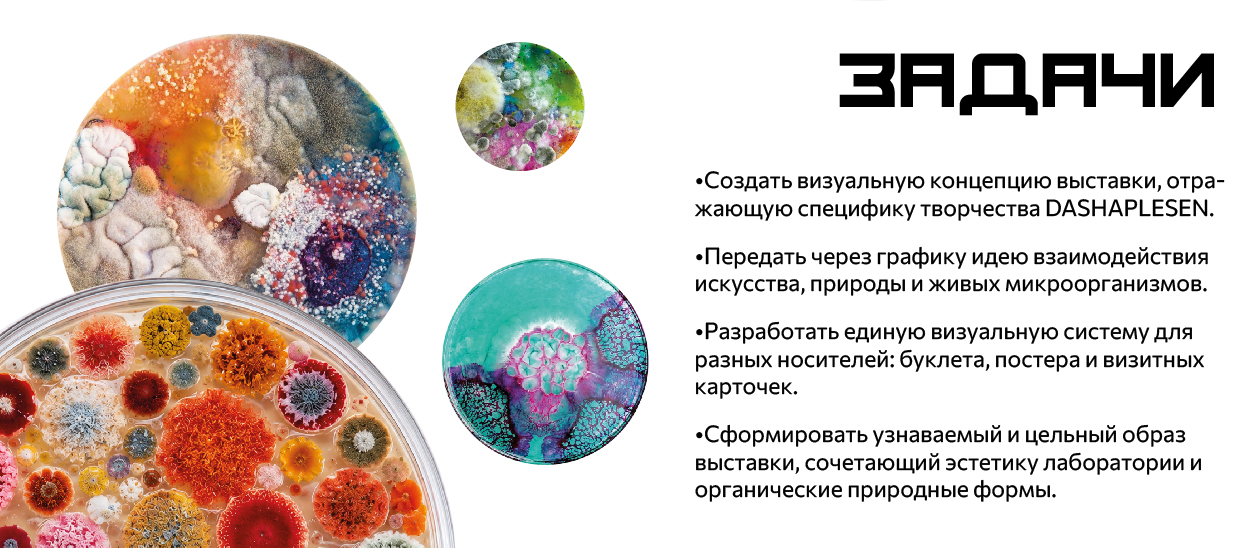 КОНЦЕПЦИЯ ПОЛИГРАФИИ ДЛЯ ВЫСТАВКИ DASHAPLESEN — Изображение №3 — Брендинг, Графика на Dprofile