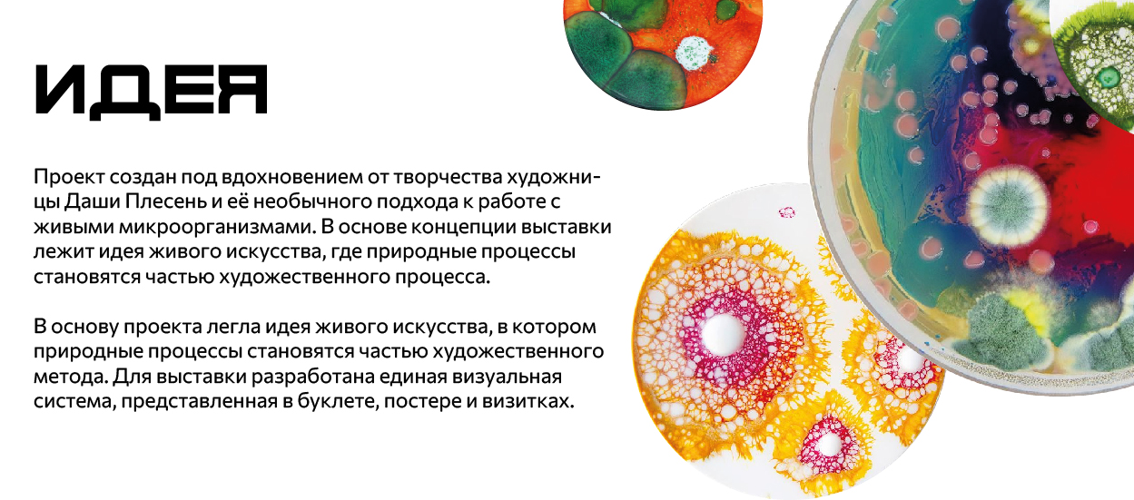КОНЦЕПЦИЯ ПОЛИГРАФИИ ДЛЯ ВЫСТАВКИ DASHAPLESEN — Изображение №2 — Брендинг, Графика на Dprofile