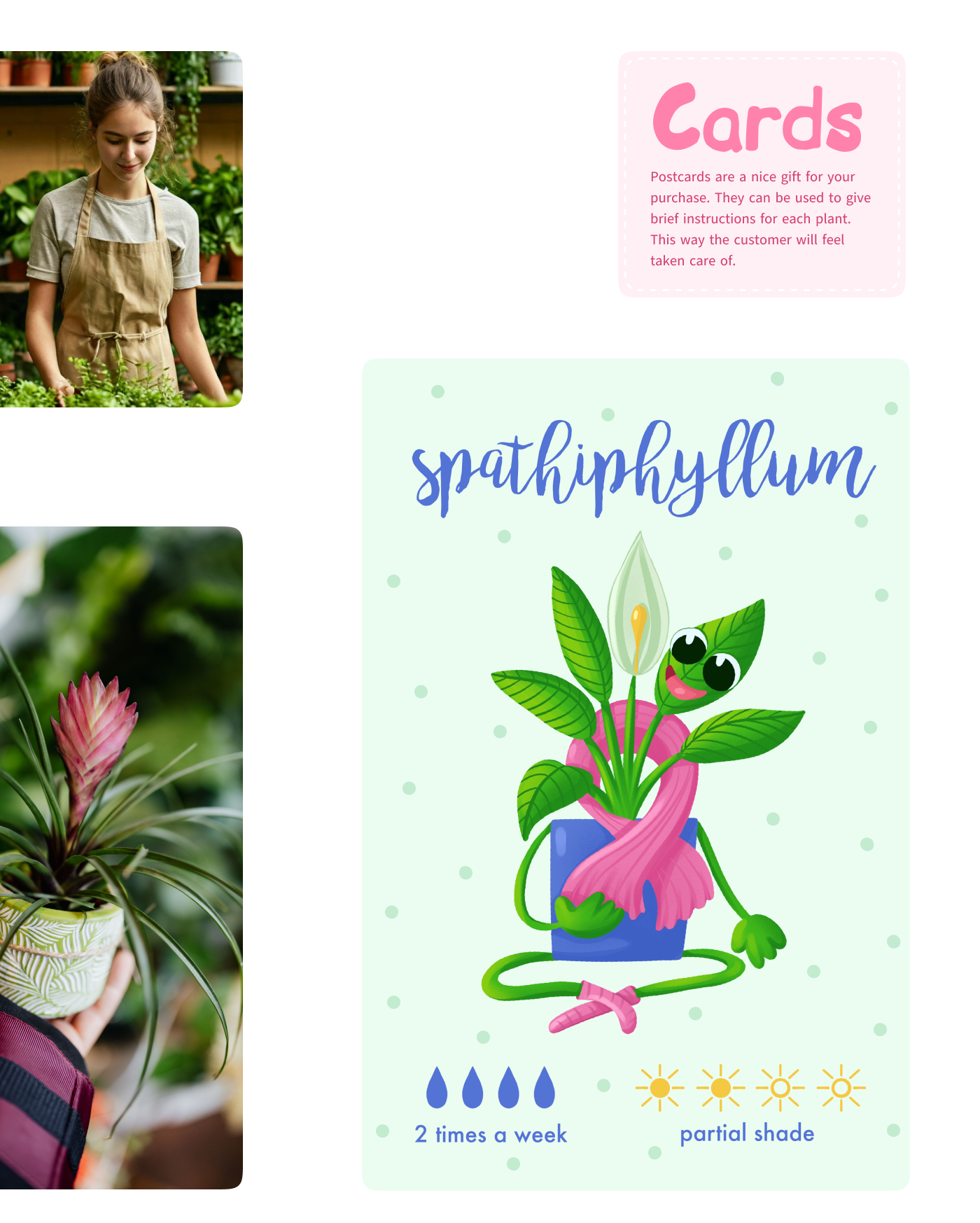 Иллюстрации и стикеры для магазина растений — Изображение №15 — Брендинг, Иллюстрация на Dprofile