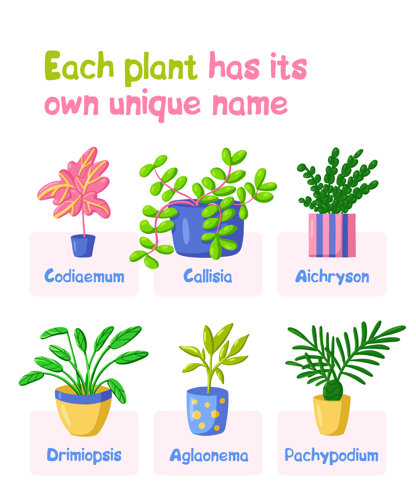 Иллюстрации и стикеры для магазина растений — Изображение №13 — Брендинг, Иллюстрация на Dprofile