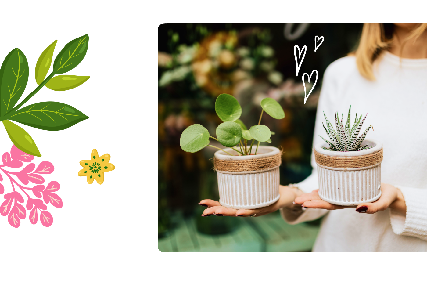 Иллюстрации и стикеры для магазина растений — Изображение №14 — Брендинг, Иллюстрация на Dprofile