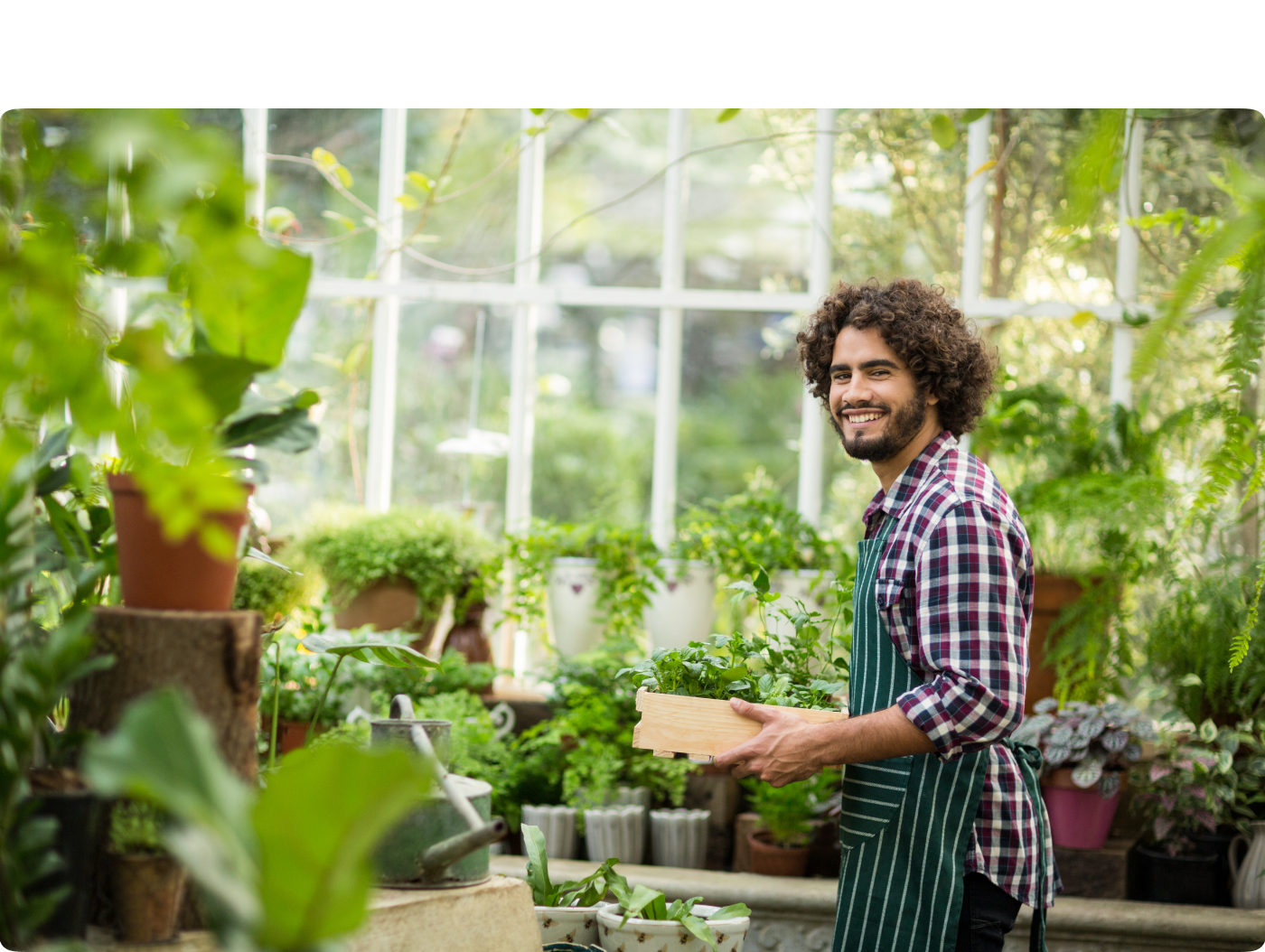 Иллюстрации и стикеры для магазина растений — Изображение №5 — Брендинг, Иллюстрация на Dprofile