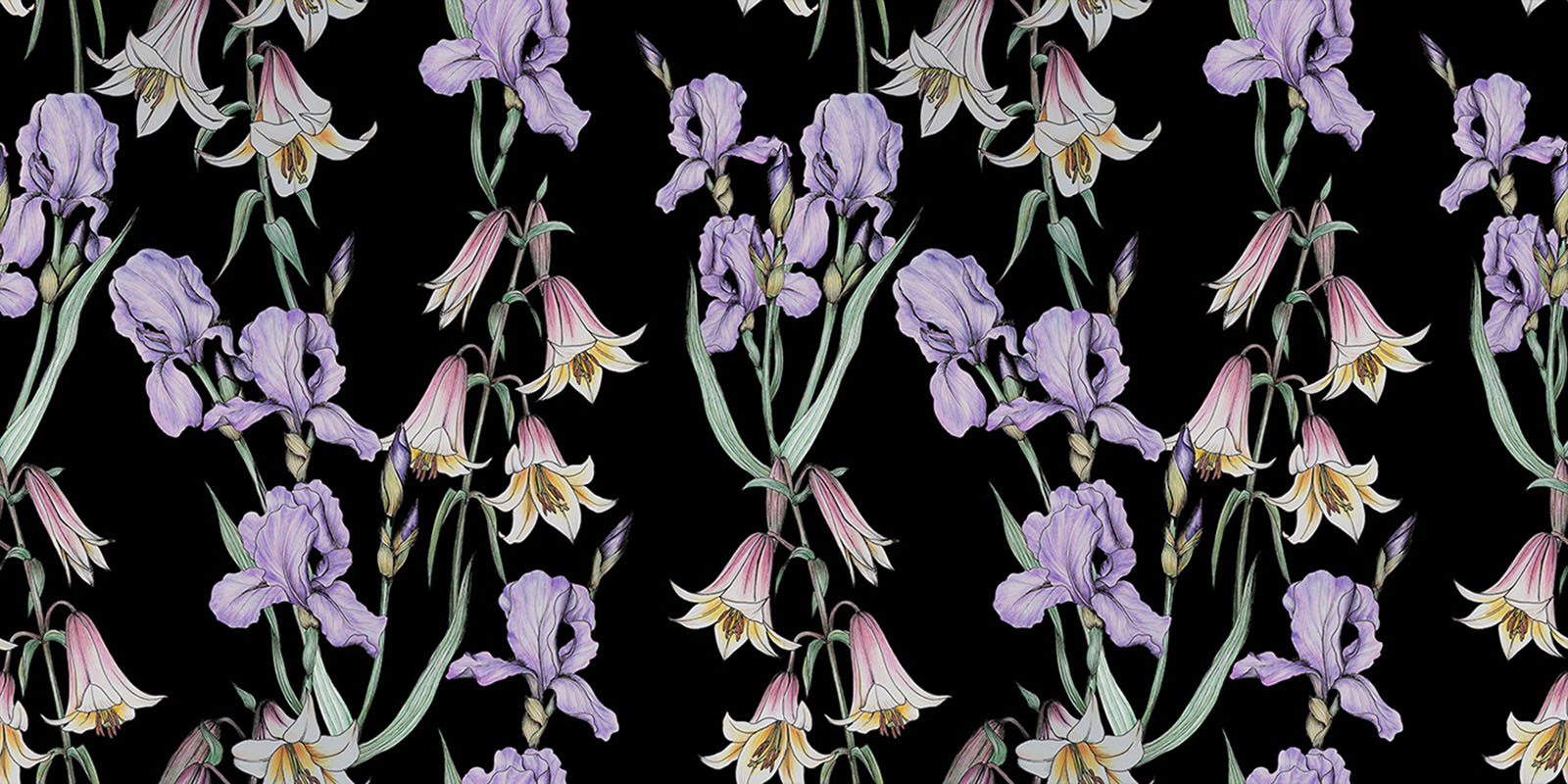 Садовые цветы — Изображение №3 — Иллюстрация на Dprofile