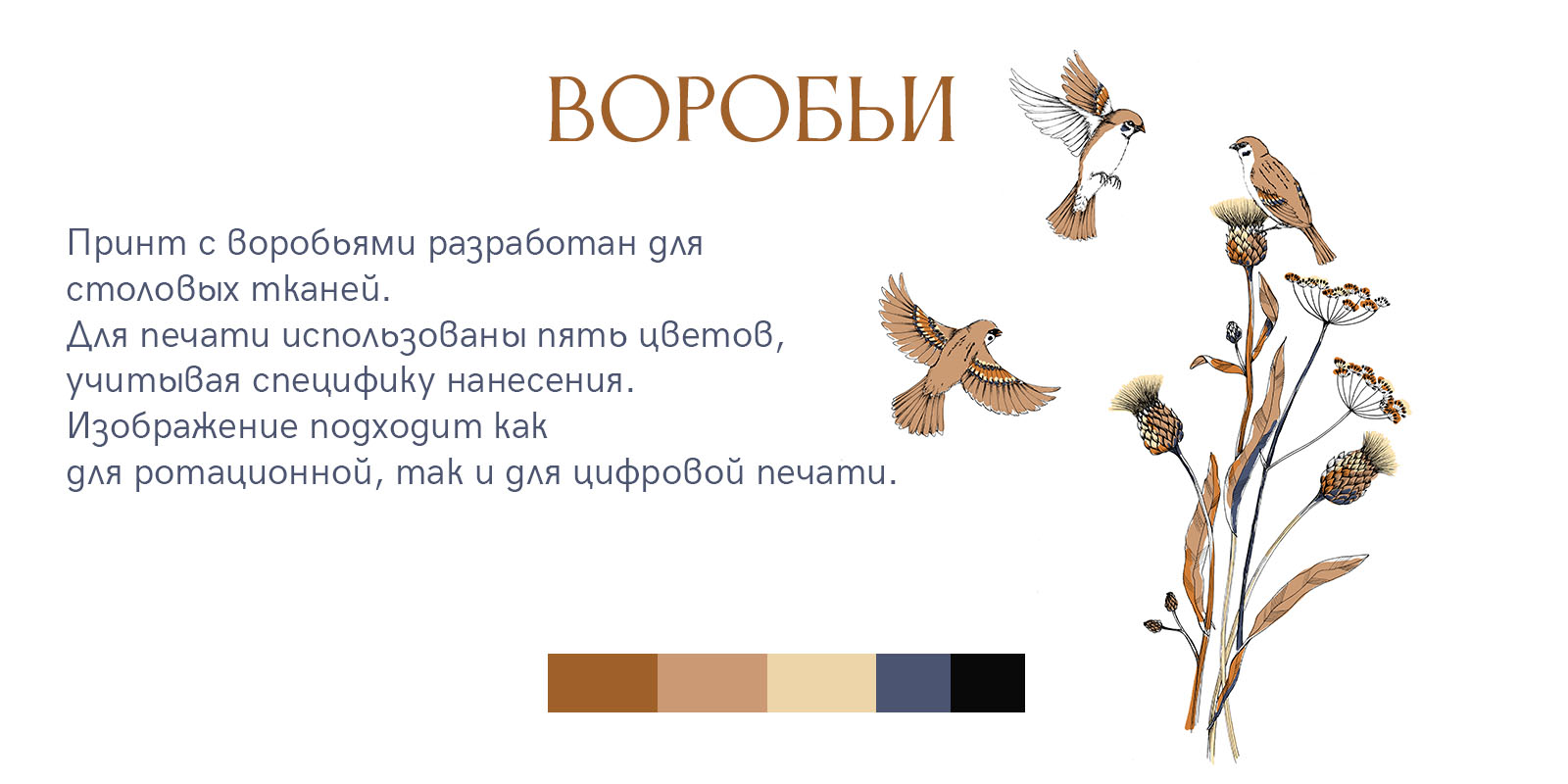 ВОРОБЬИ — Изображение №1 — Иллюстрация на Dprofile