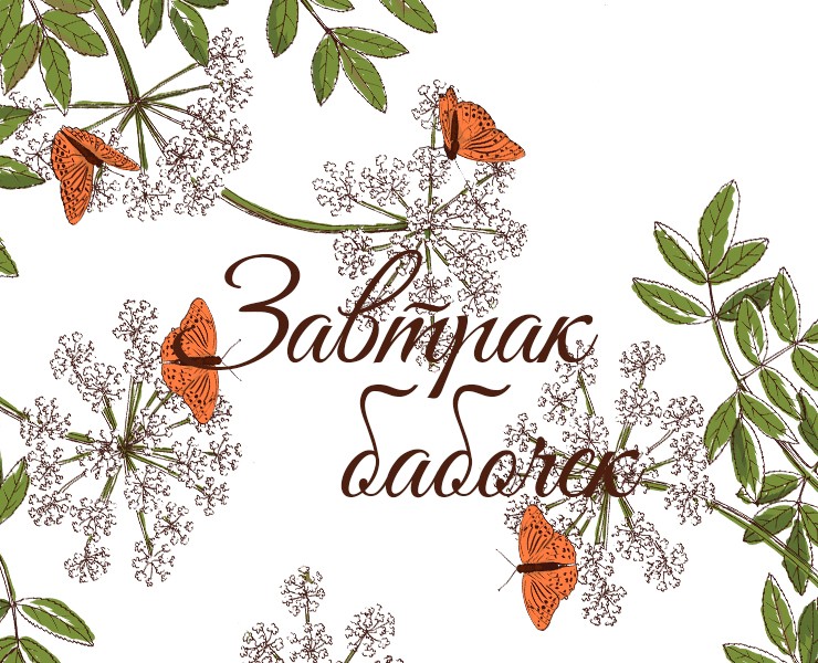 Завтрак бабочек — Брендинг, Иллюстрация на Dprofile