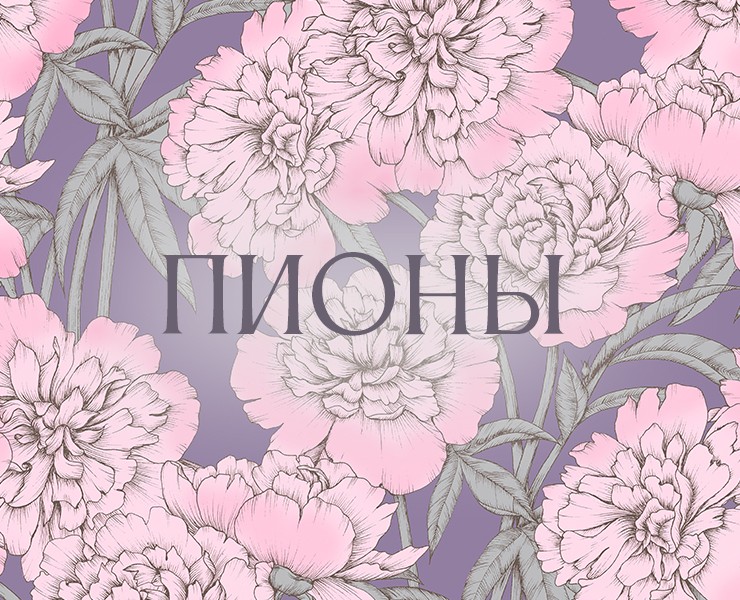 Пионы. Принт для текстиля — Иллюстрация на Dprofile