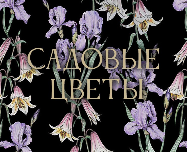 Садовые цветы на Dprofile