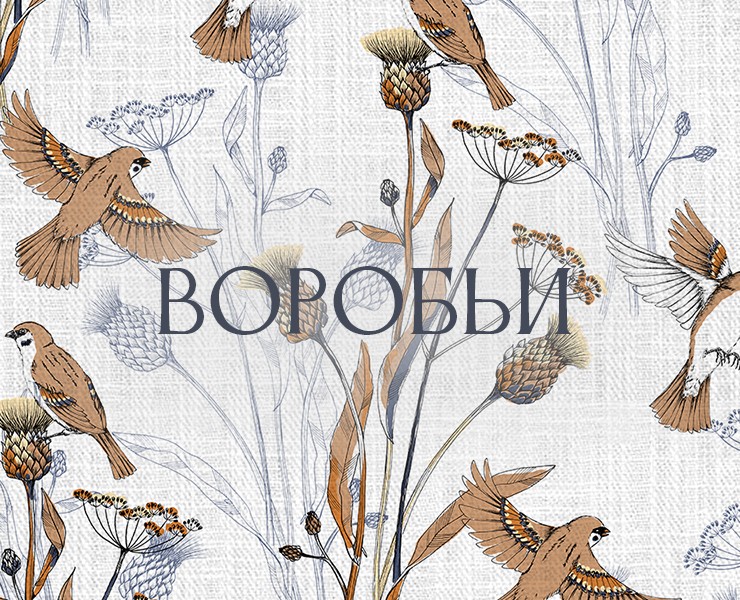ВОРОБЬИ — Иллюстрация на Dprofile