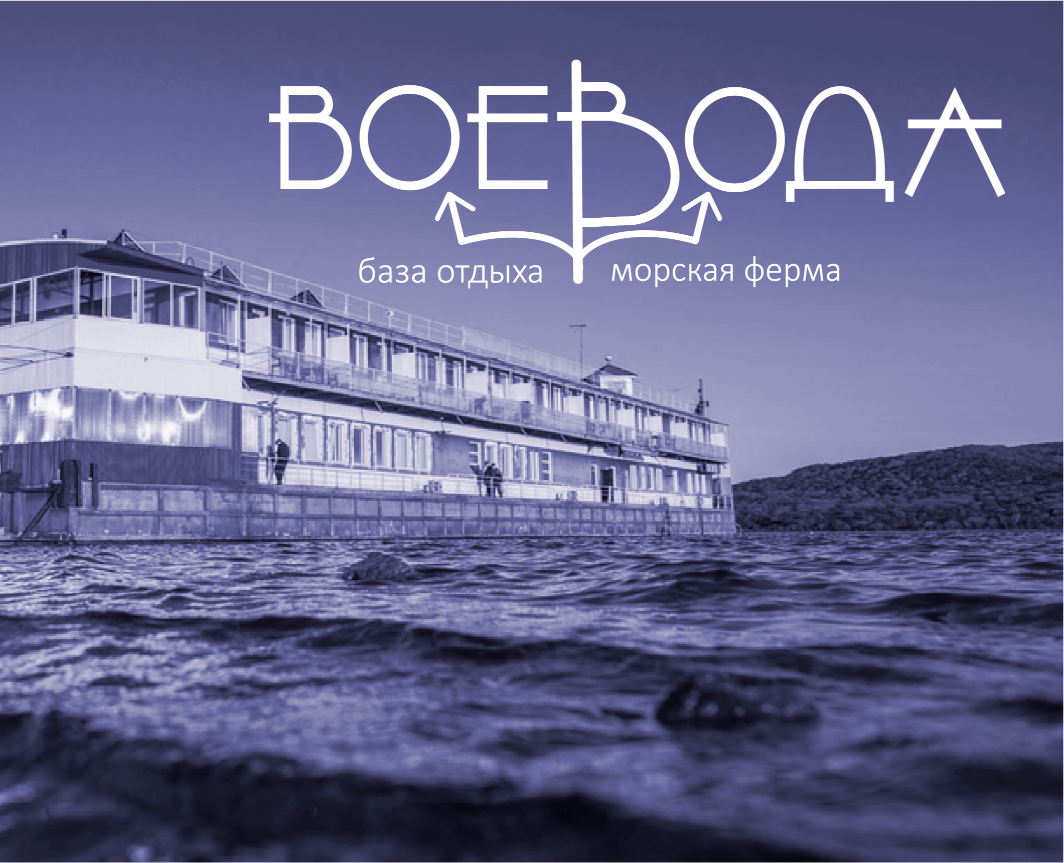 Воевода — Интерфейсы, Брендинг на Dprofile