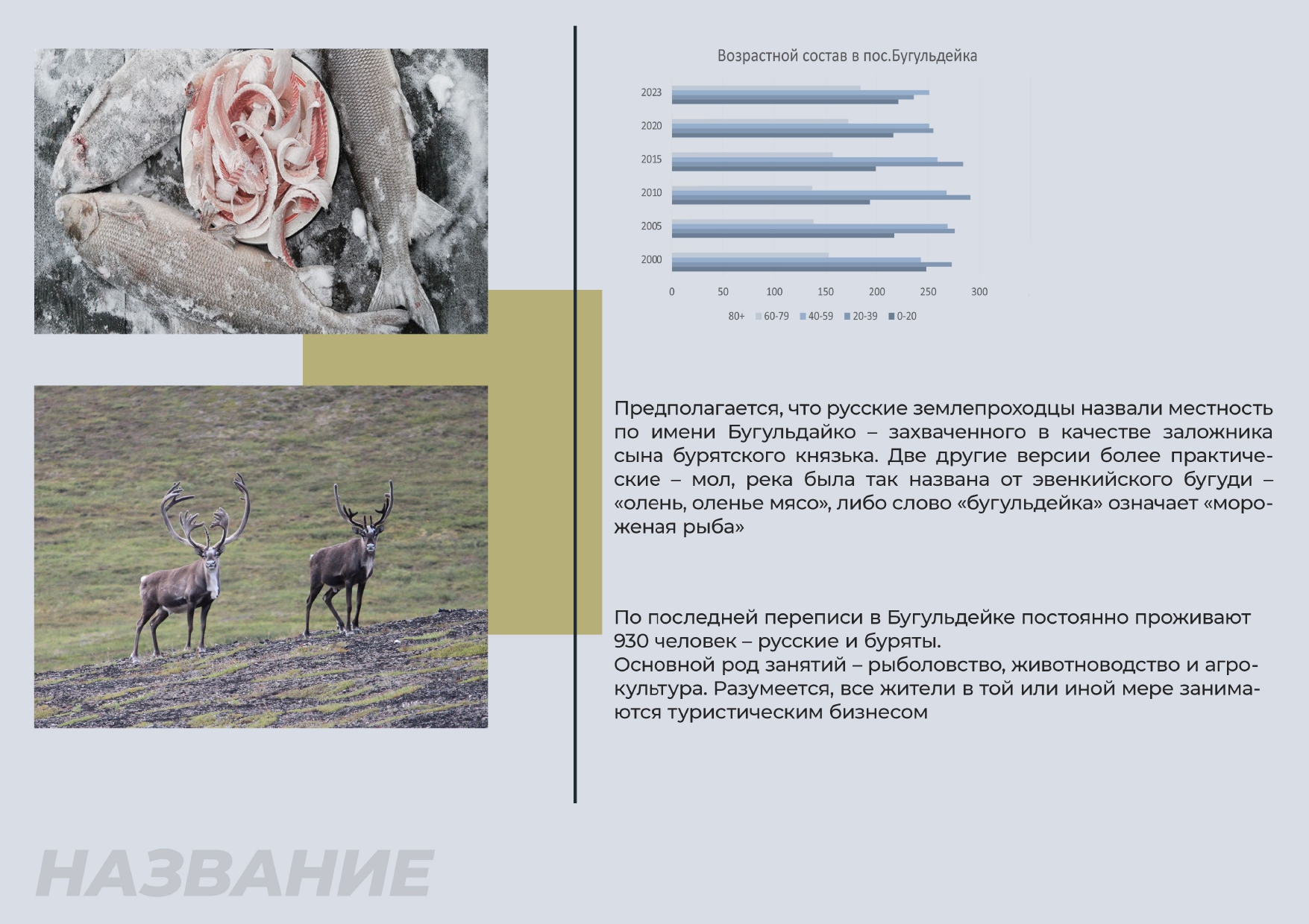 Бренд посёлка Бугульдейка — Изображение №4 — Брендинг на Dprofile