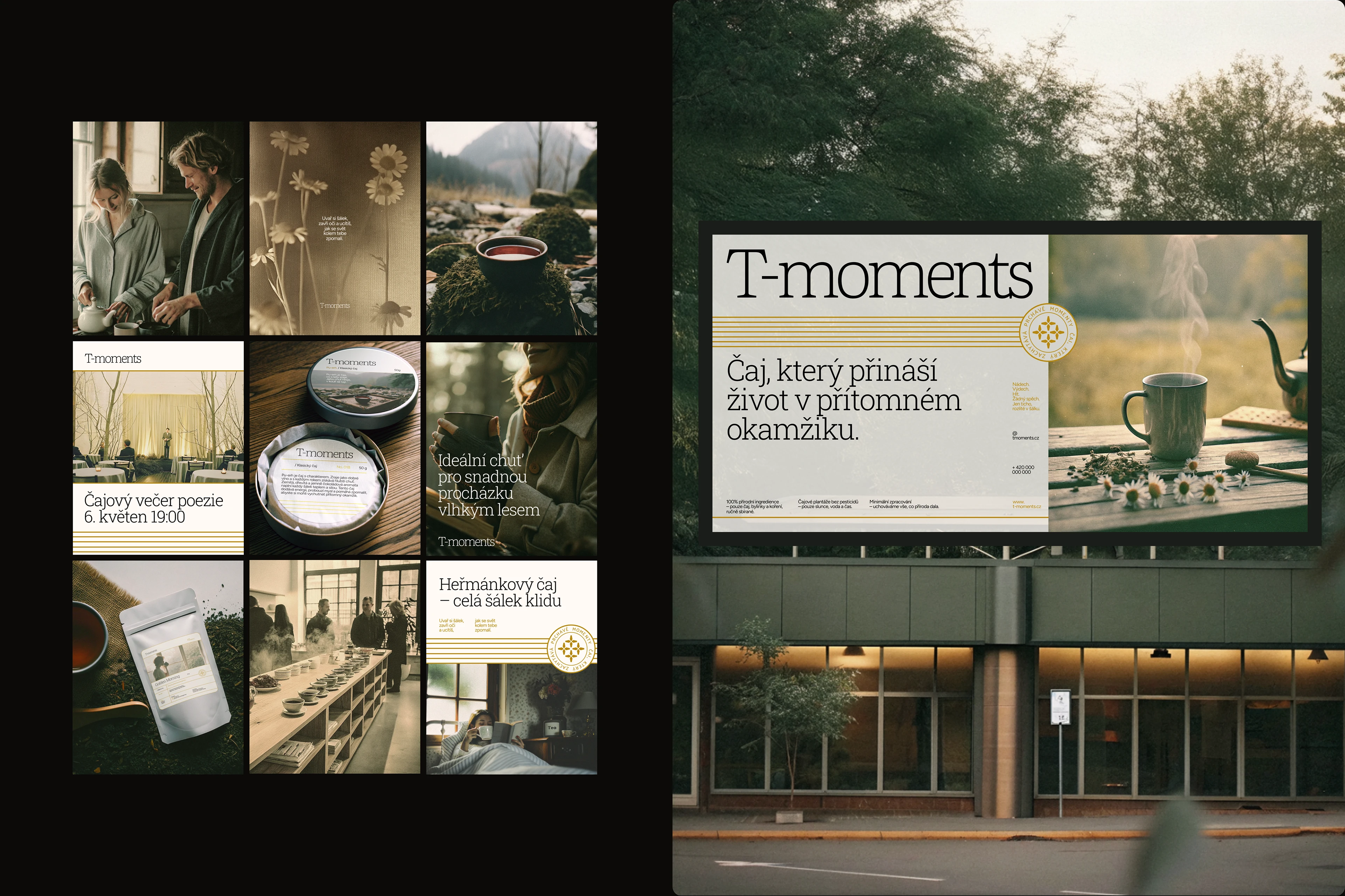 T-Moments / Бренд-айдентика и упаковка — Изображение №15 — Брендинг на Dprofile