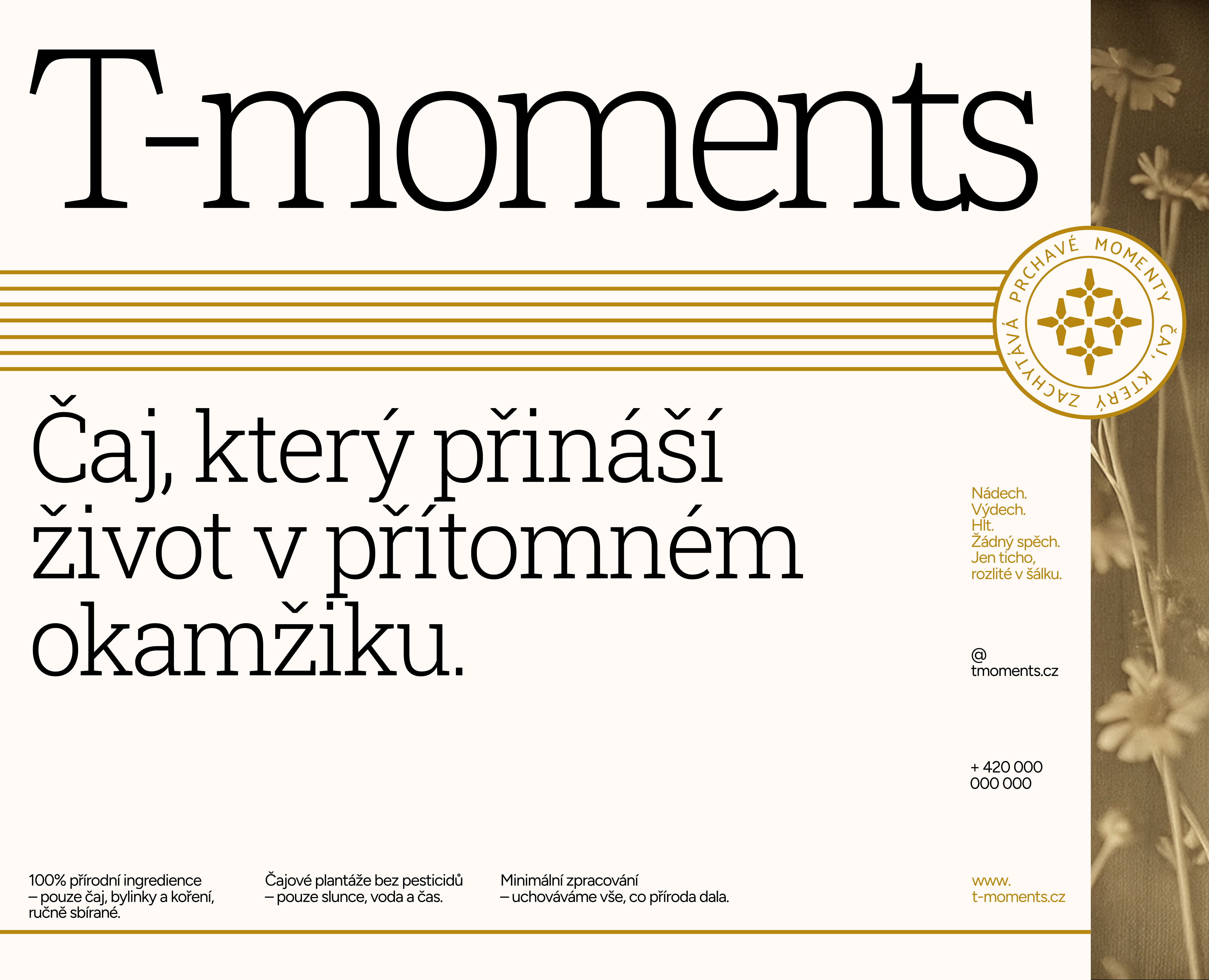 T-Moments / Бренд-айдентика и упаковка на Dprofile