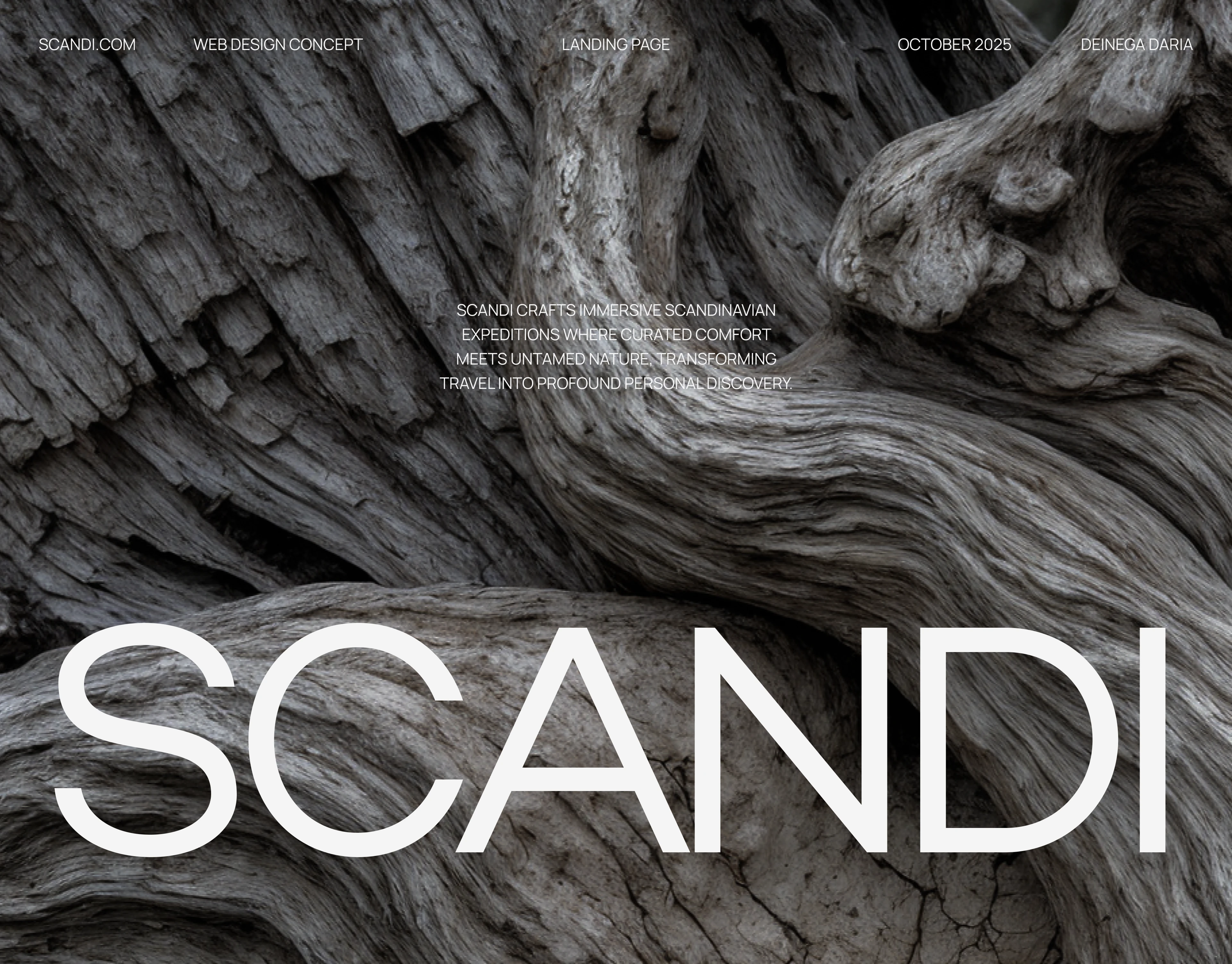 SCANDI | Лендинг для тур.агентства — Изображение №1 — Интерфейсы на Dprofile