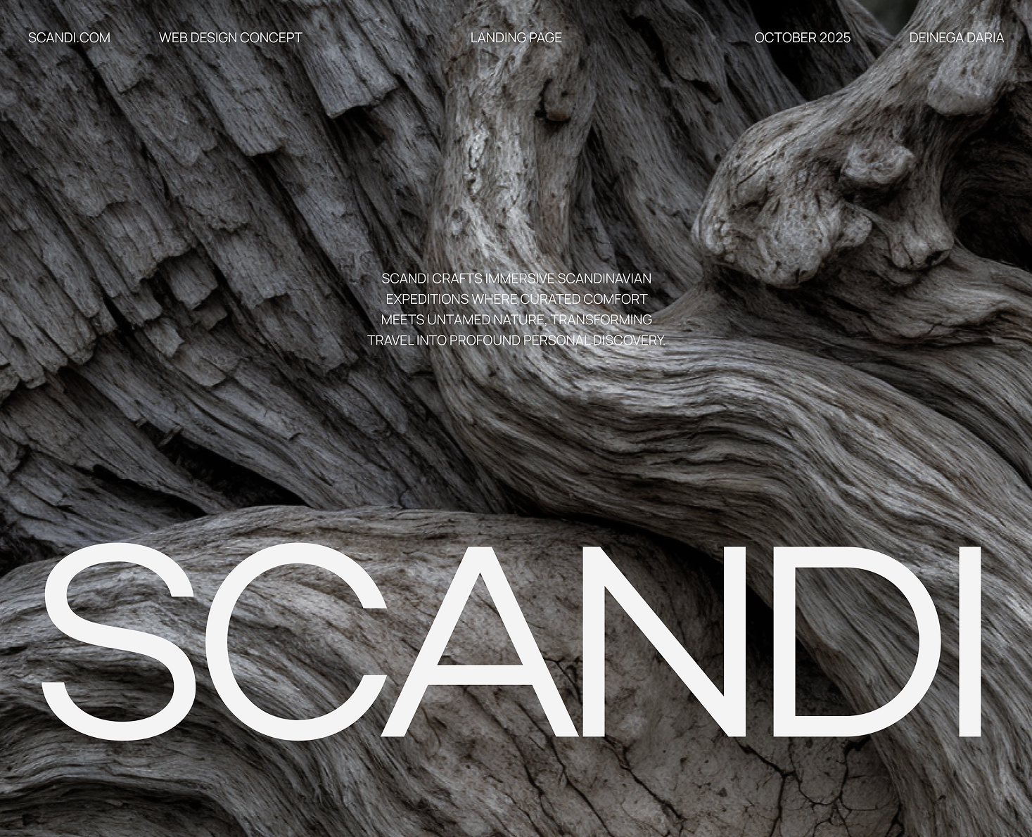 SCANDI | Лендинг для тур.агентства — Интерфейсы на Dprofile