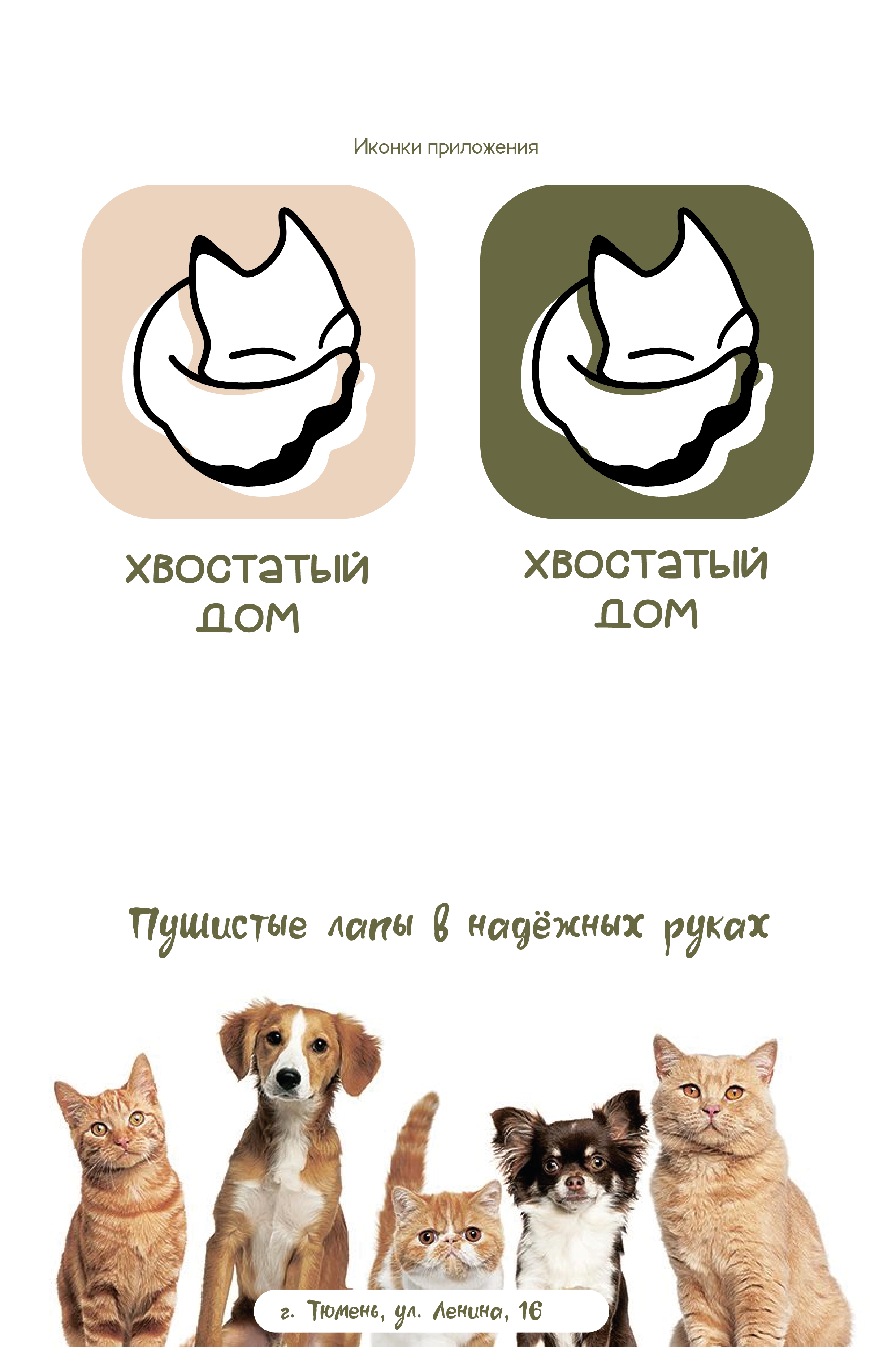 "Хвостатый дом" зоогостиница — Изображение №4 — Брендинг на Dprofile