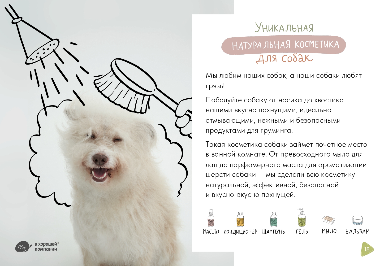 Презентация-буклет для бренда товаров для собак — Изображение №5 — Графика, Маркетинг на Dprofile