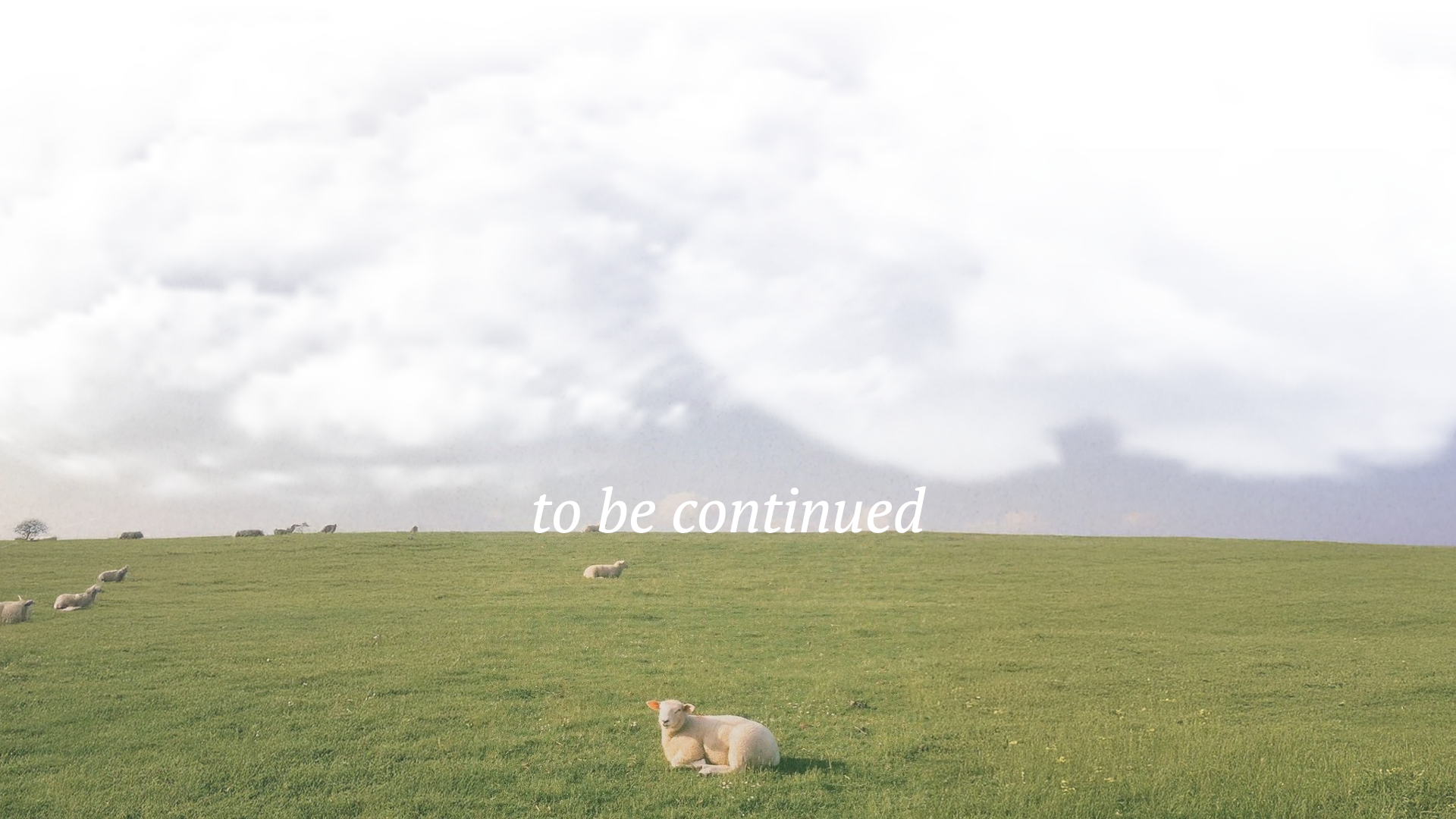 История одного «спасибо» — Изображение №4 — Графика, Маркетинг на Dprofile