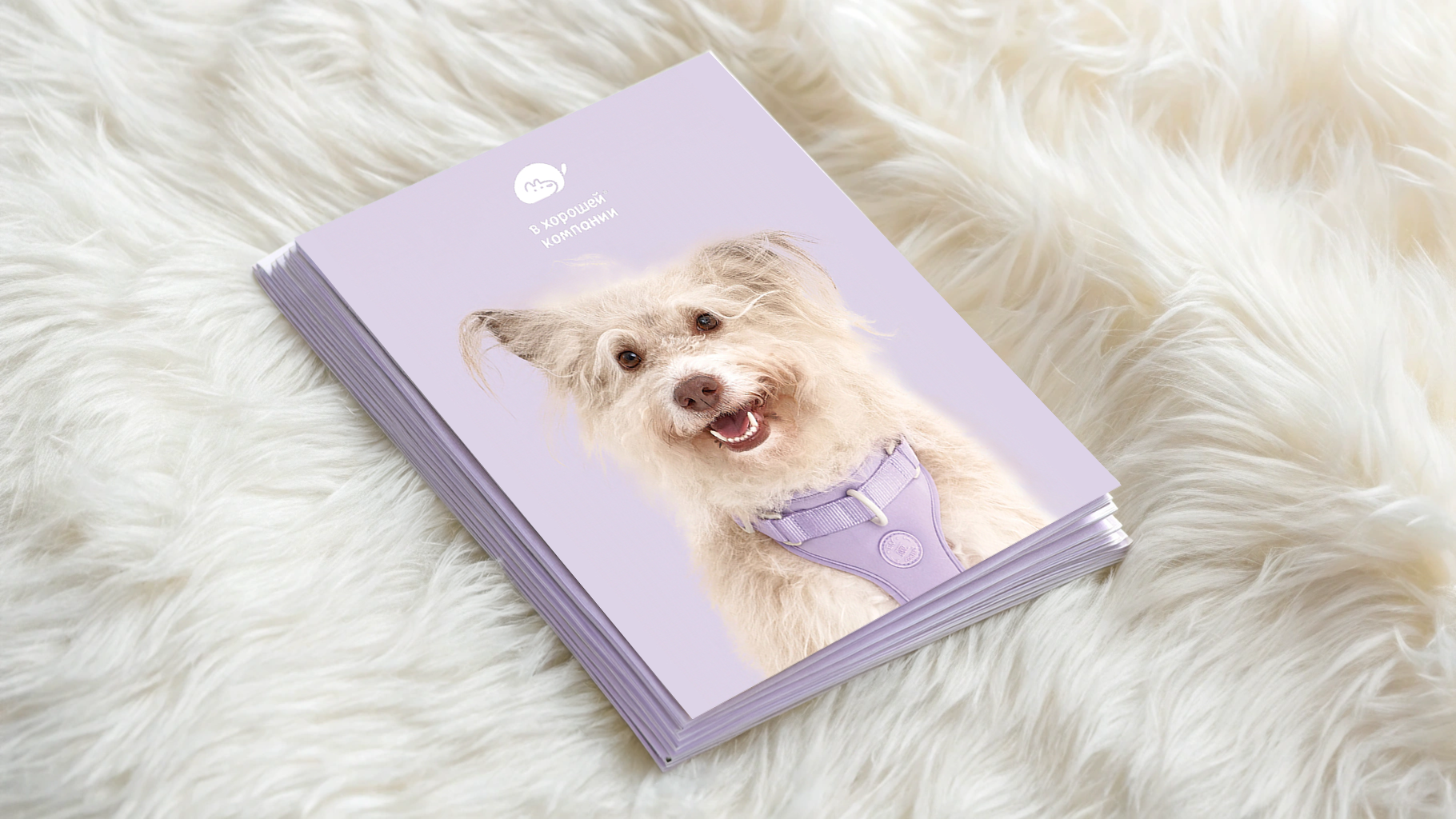 Презентация-буклет для бренда товаров для собак — Изображение №1 — Графика, Маркетинг на Dprofile