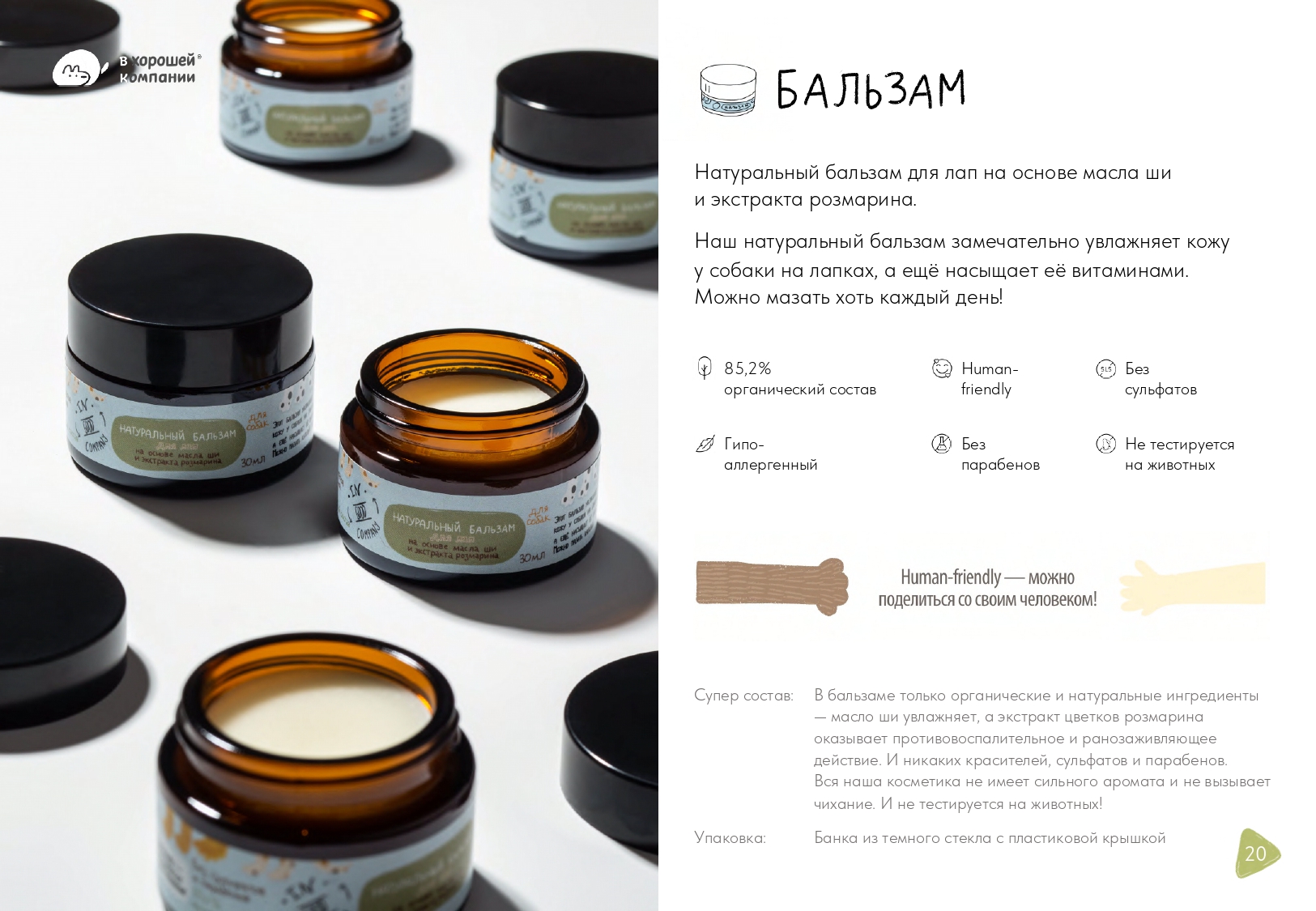 Презентация-буклет для бренда товаров для собак — Изображение №3 — Графика, Маркетинг на Dprofile