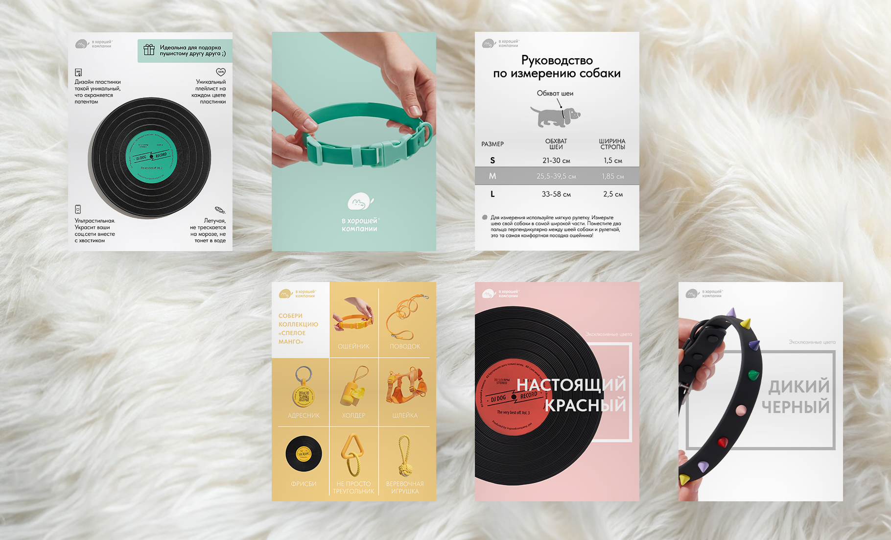Презентация-буклет для бренда товаров для собак — Изображение №9 — Графика, Маркетинг на Dprofile