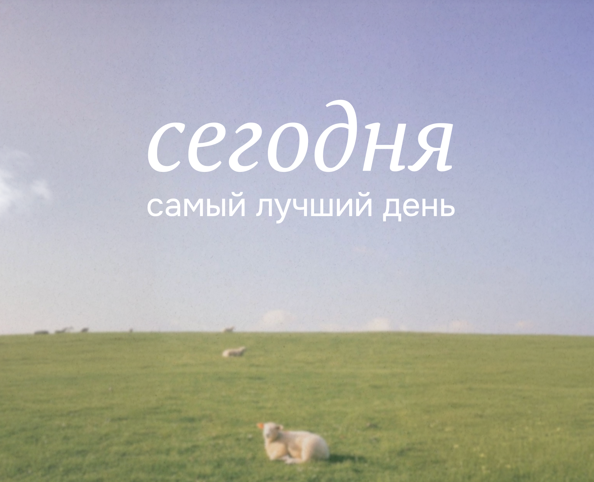 История одного «спасибо» — Графика, Маркетинг на Dprofile