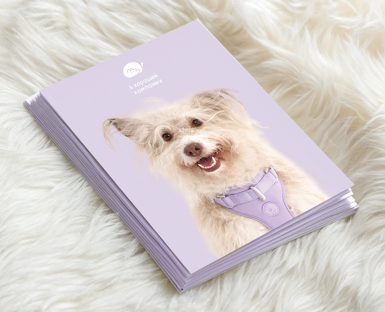 Презентация-буклет для бренда товаров для собак — Графика, Маркетинг на Dprofile
