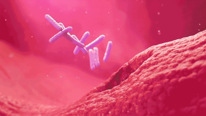 Prime Peptide / Scientific Visualization / CGI — Изображение №12 — Анимация, Маркетинг на Dprofile