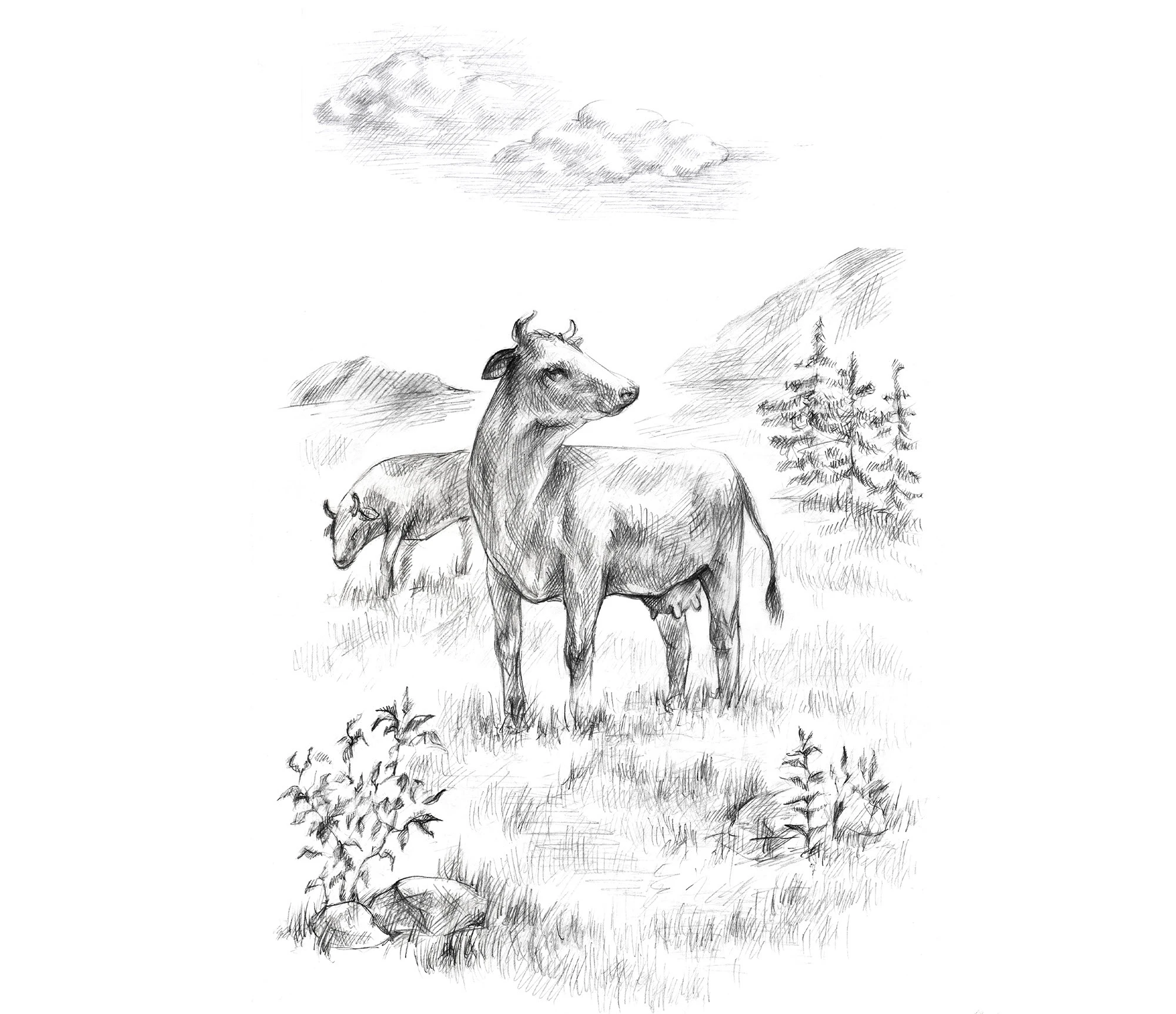 Иллюстрации для детской книги о животных — Изображение №13 — Иллюстрация, Графика на Dprofile