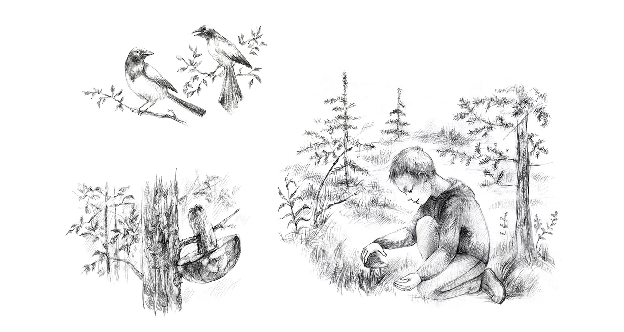 Иллюстрации для детской книги о животных — Изображение №10 — Иллюстрация, Графика на Dprofile