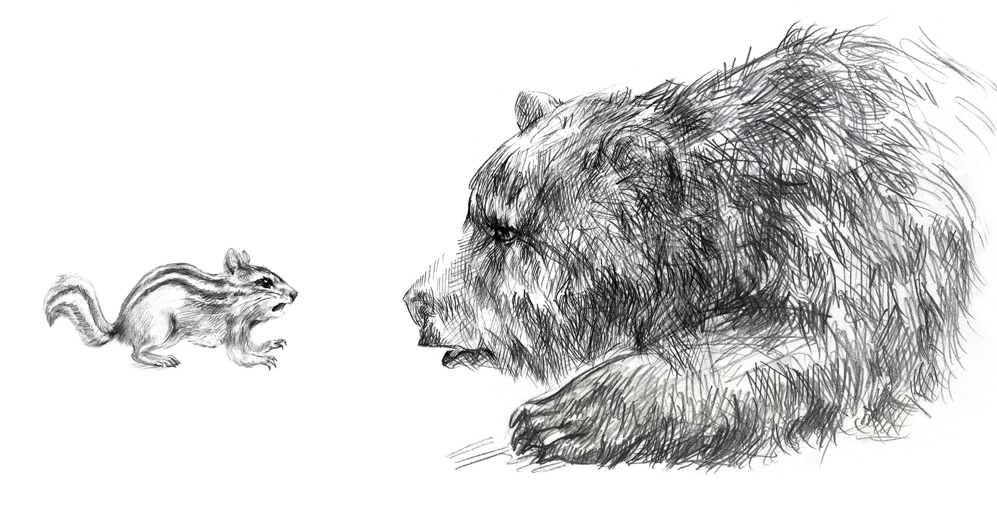 Иллюстрации для детской книги о животных — Изображение №12 — Иллюстрация, Графика на Dprofile