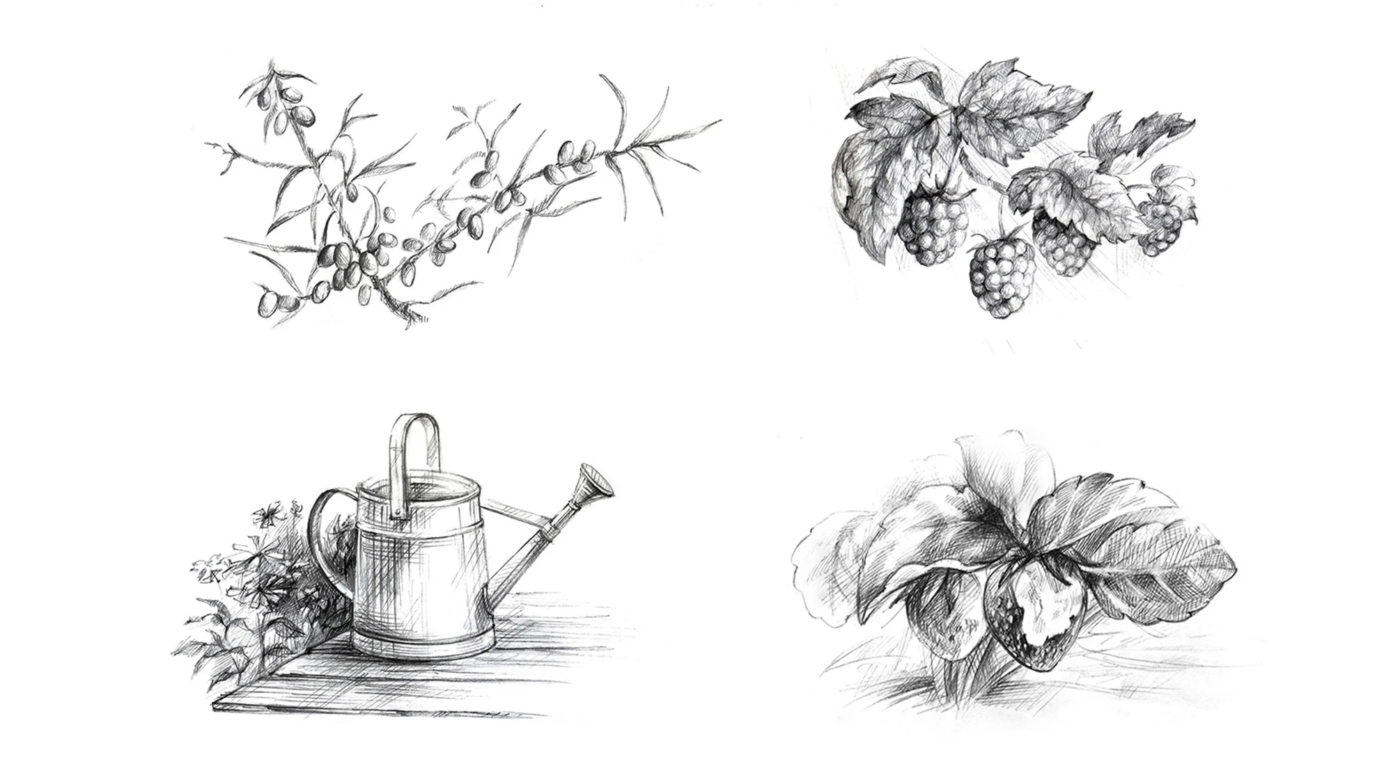 Иллюстрации для детской книги о животных — Изображение №6 — Иллюстрация, Графика на Dprofile