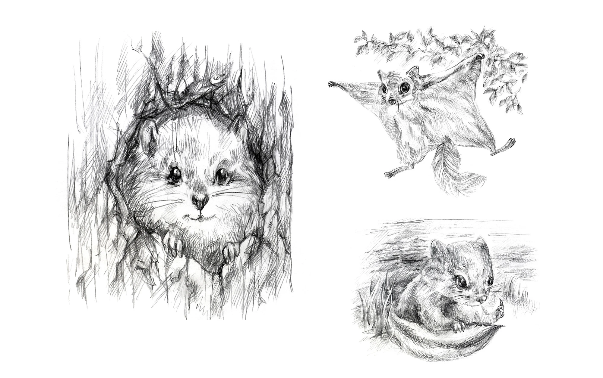 Иллюстрации для детской книги о животных — Изображение №8 — Иллюстрация, Графика на Dprofile