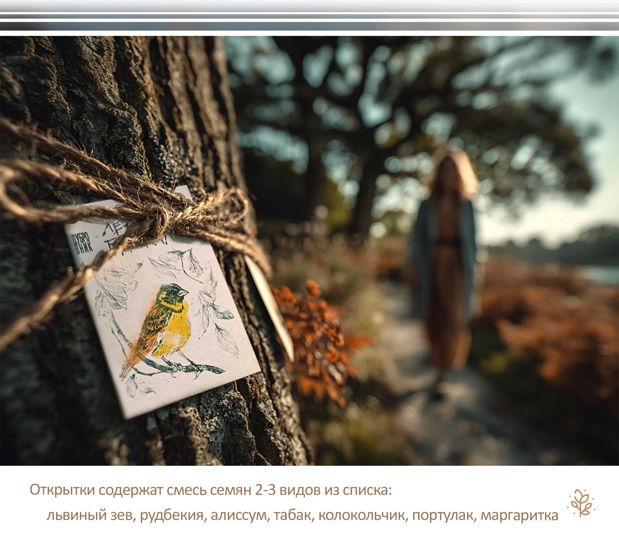 Открытки желаний на посевной бумаге — Изображение №6 — Брендинг, Иллюстрация на Dprofile