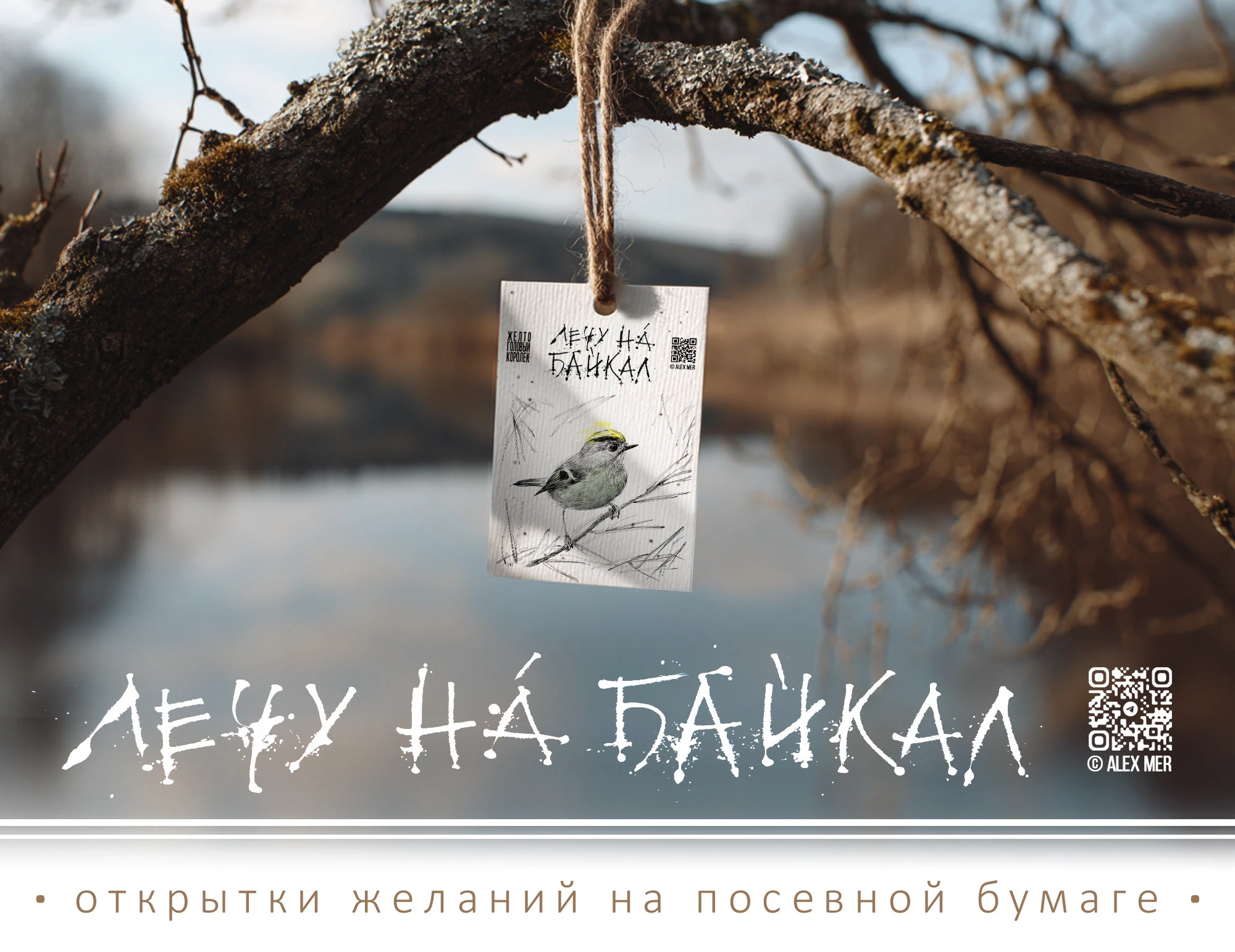 Открытки желаний на посевной бумаге — Изображение №1 — Брендинг, Иллюстрация на Dprofile