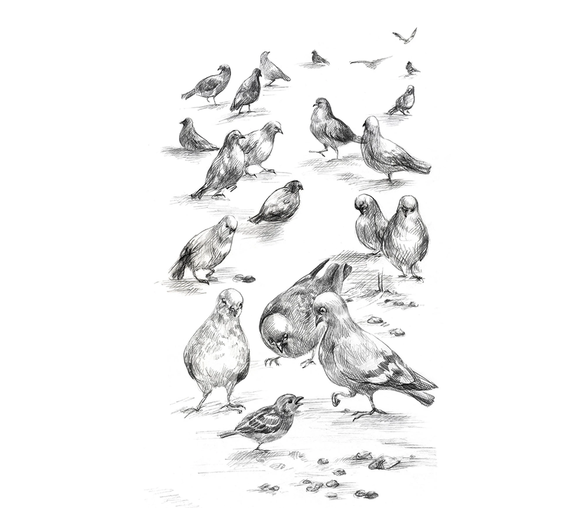 Иллюстрации для детской книги о животных — Изображение №17 — Иллюстрация, Графика на Dprofile