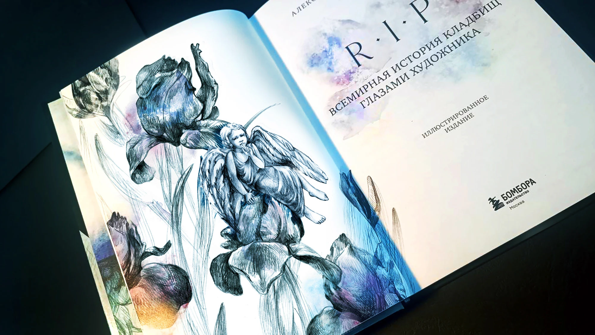 R.I.P. Всемирная история кладбищ глазами художника — Изображение №2 — Иллюстрация, Графика на Dprofile