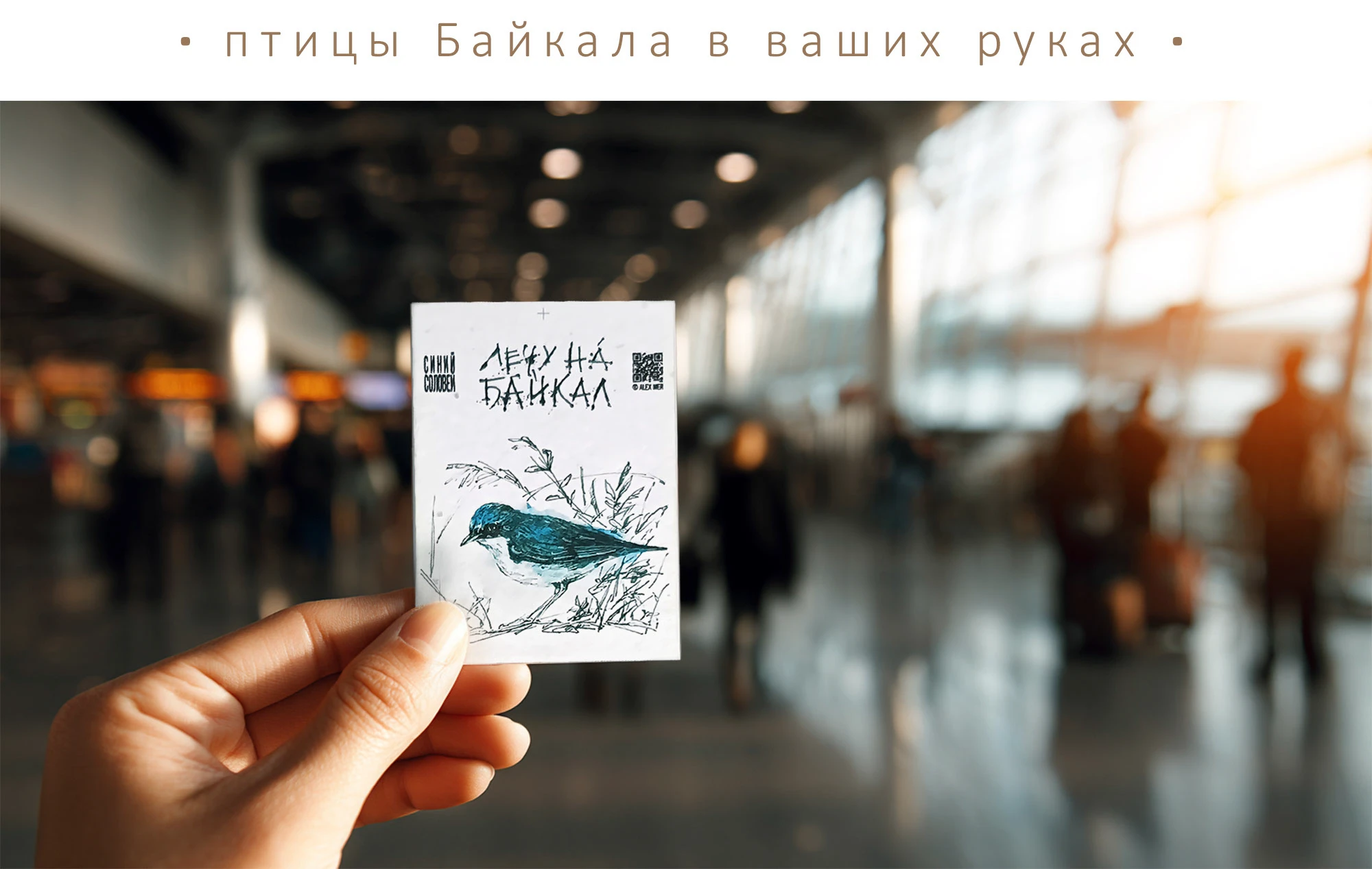 Открытки желаний на посевной бумаге — Изображение №4 — Брендинг, Иллюстрация на Dprofile