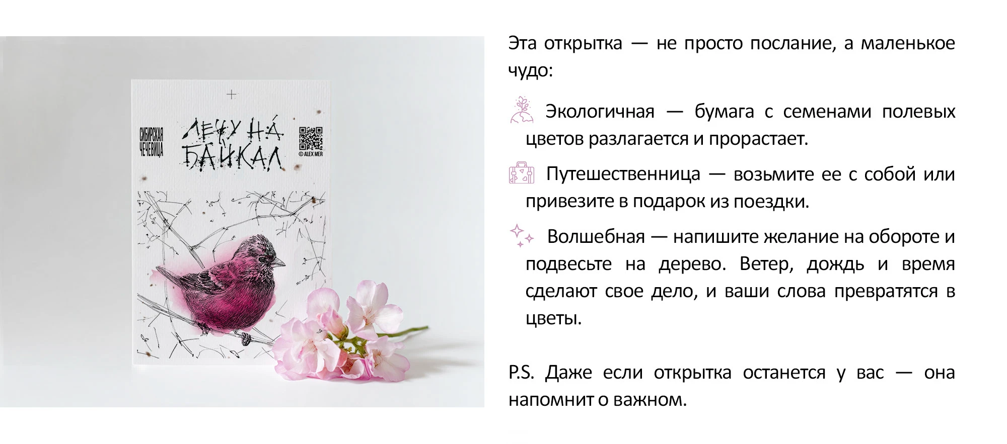 Открытки желаний на посевной бумаге — Изображение №2 — Брендинг, Иллюстрация на Dprofile