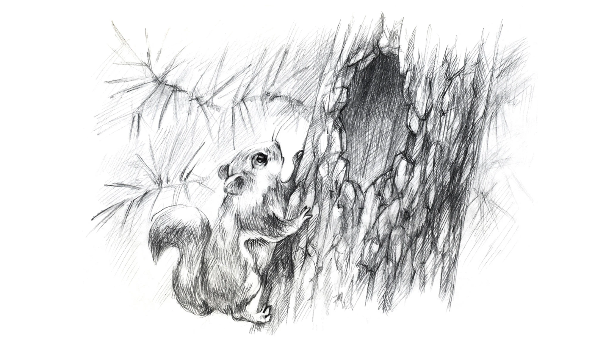 Иллюстрации для детской книги о животных — Изображение №7 — Иллюстрация, Графика на Dprofile