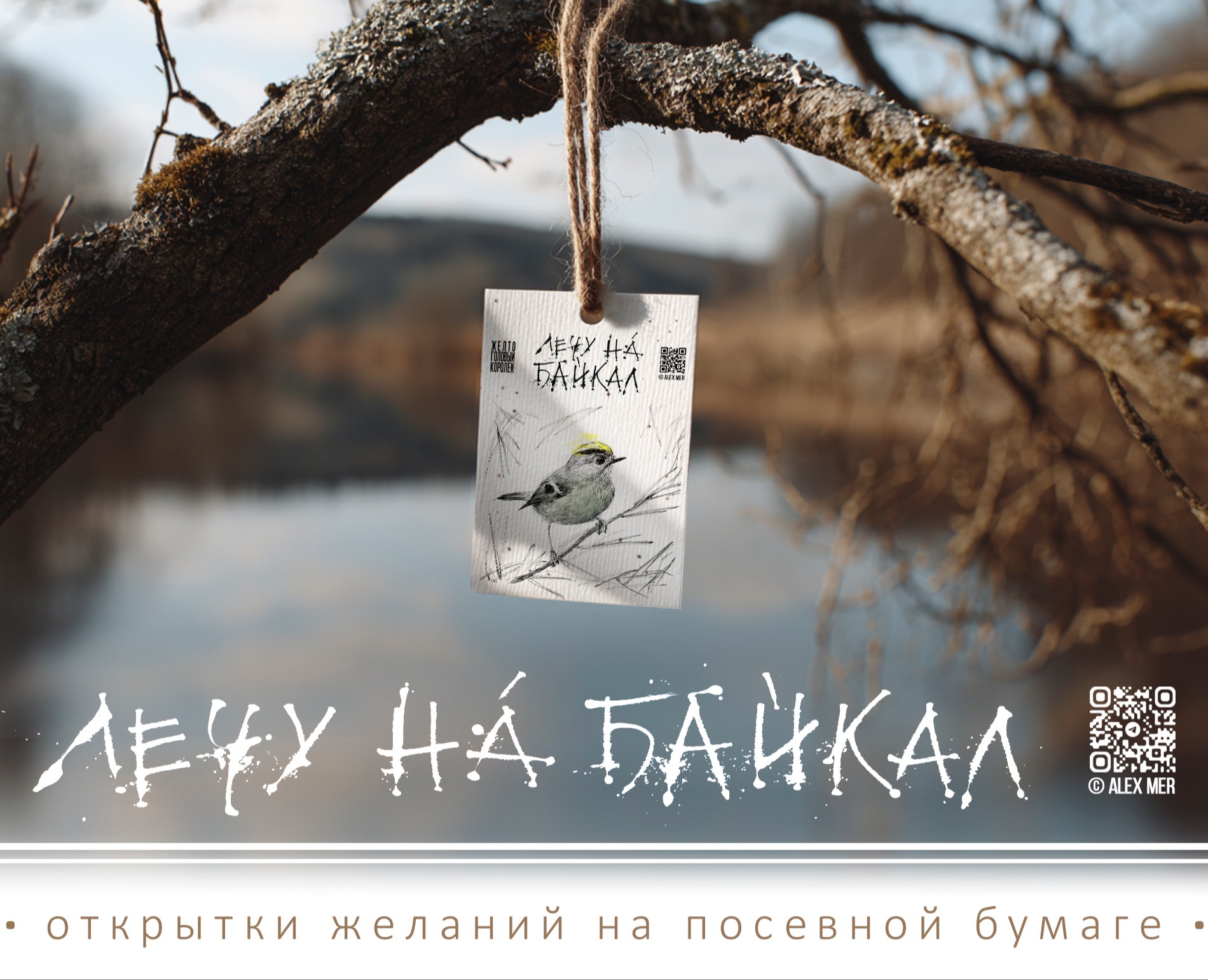 Открытки желаний на посевной бумаге — Брендинг, Иллюстрация на Dprofile