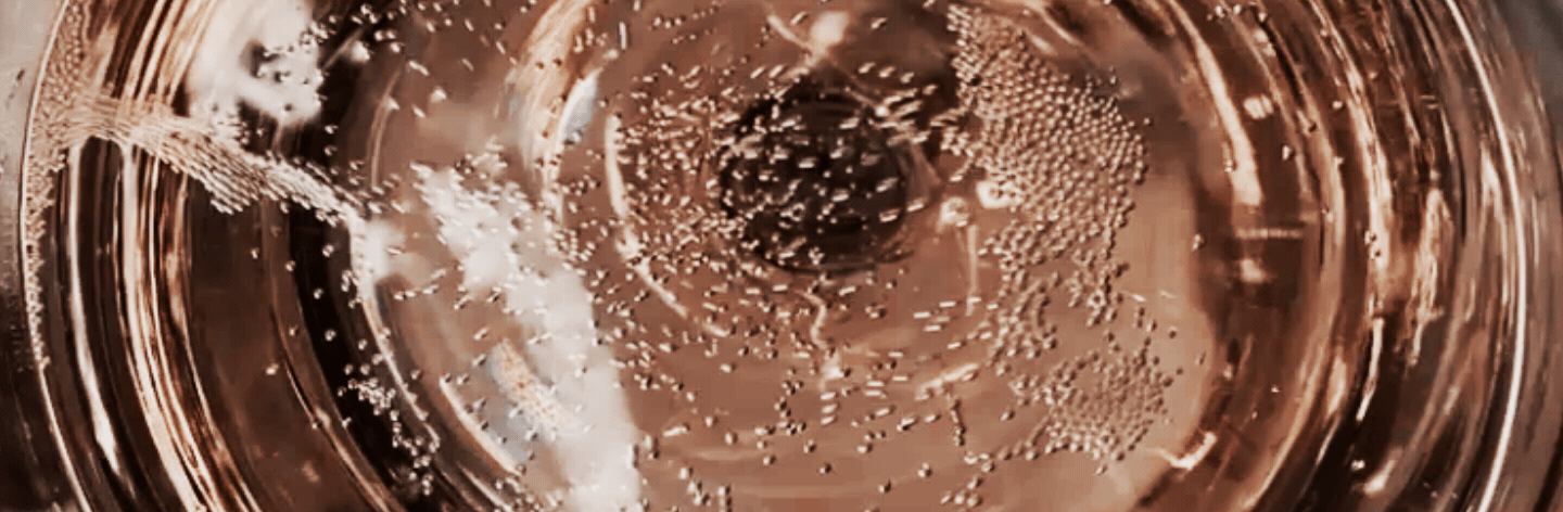 SPARKLY | фирменный стиль ресторана  | брендинг — Изображение №4 — Брендинг на Dprofile