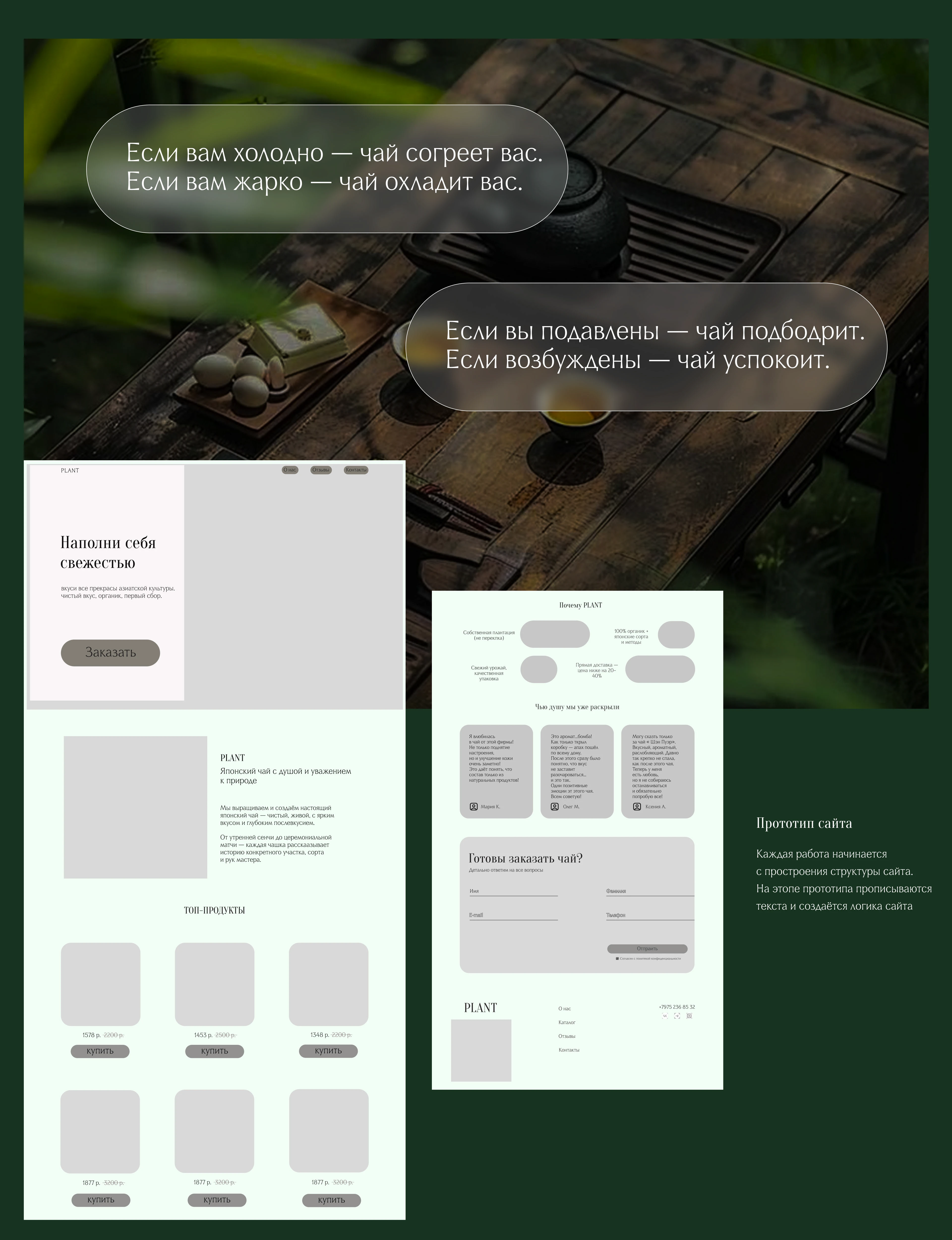 PLANT | Tea Plantation Landing Page — Изображение №4 — Интерфейсы на Dprofile
