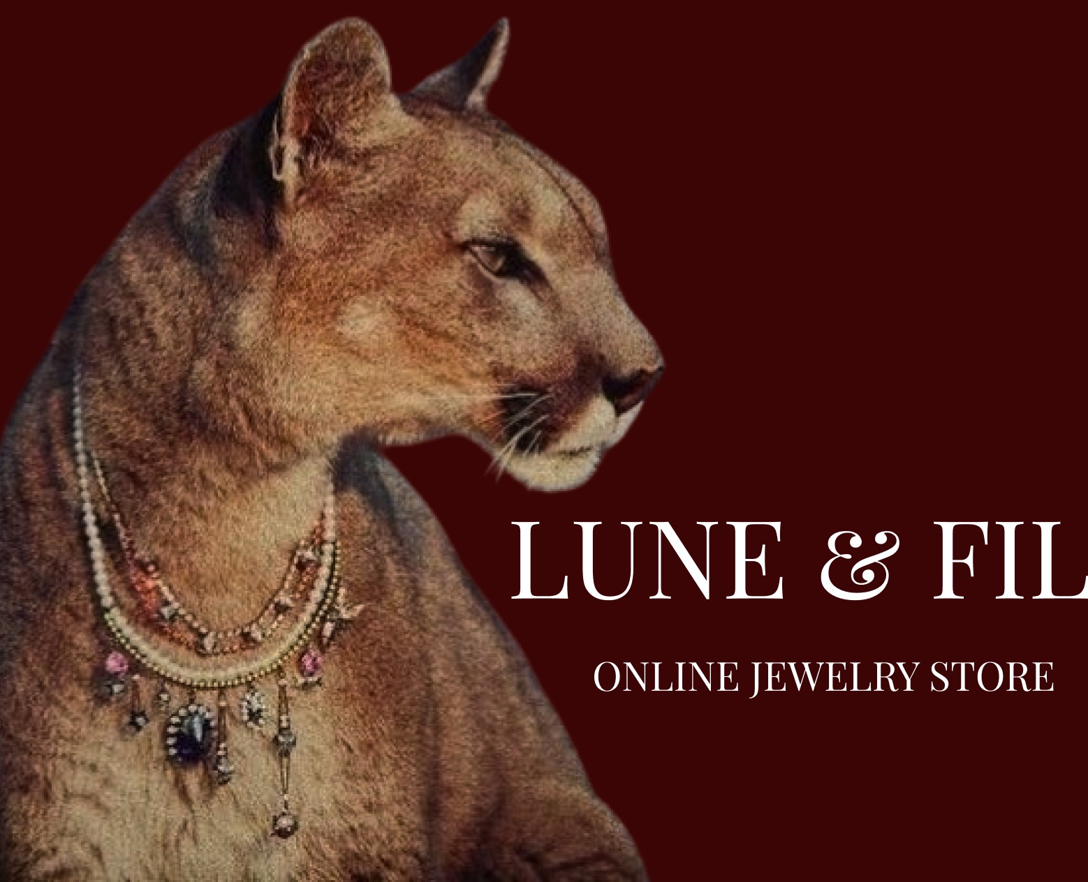 Lune & Fil | Jewelry E-commerce Website Design — Интерфейсы на Dprofile
