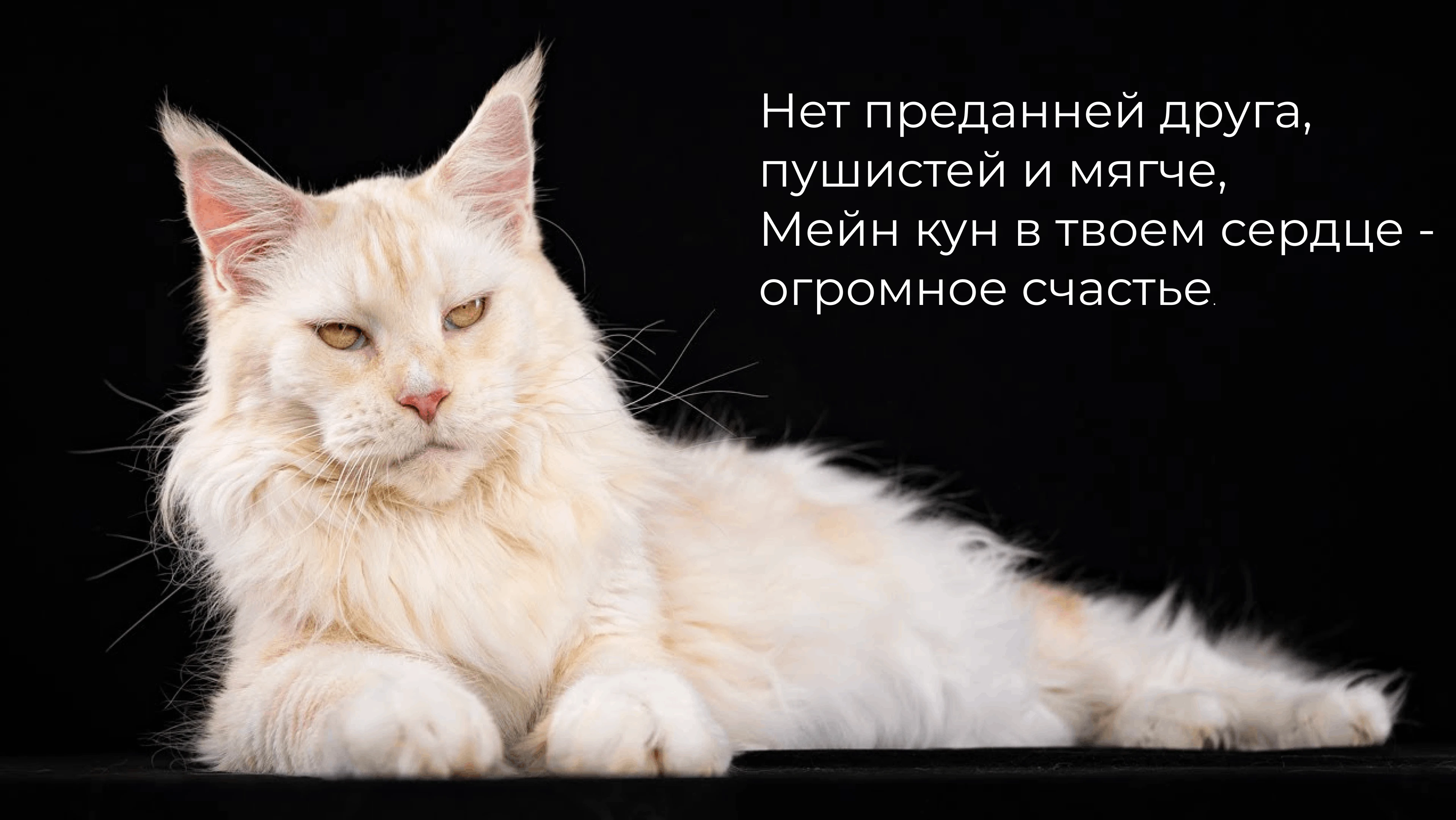 Design for a nursery — Изображение №3 — Интерфейсы на Dprofile