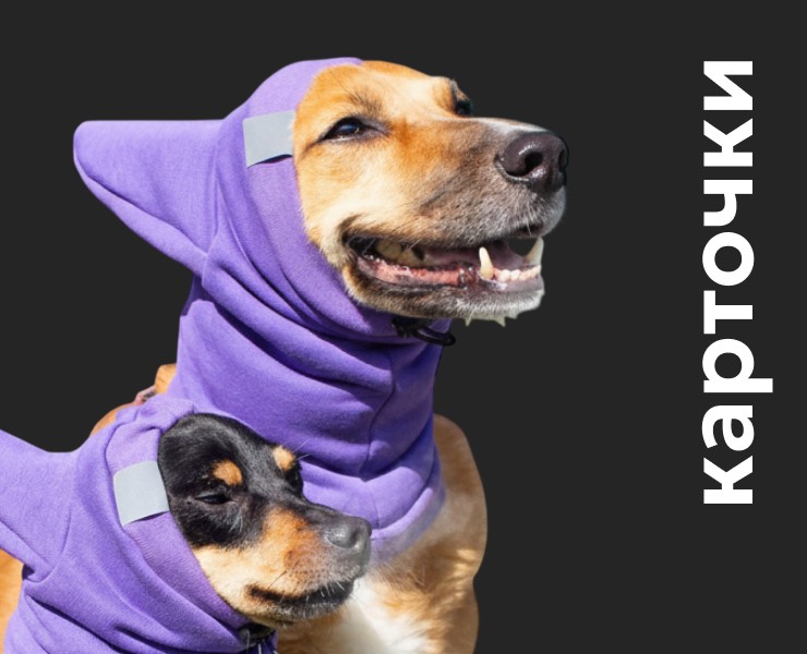 Карточки, баннеры и что-то ещё — Графика на Dprofile